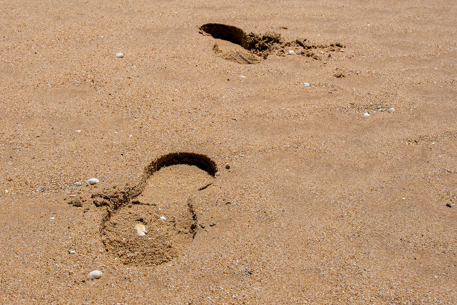 On a marché sur le sable