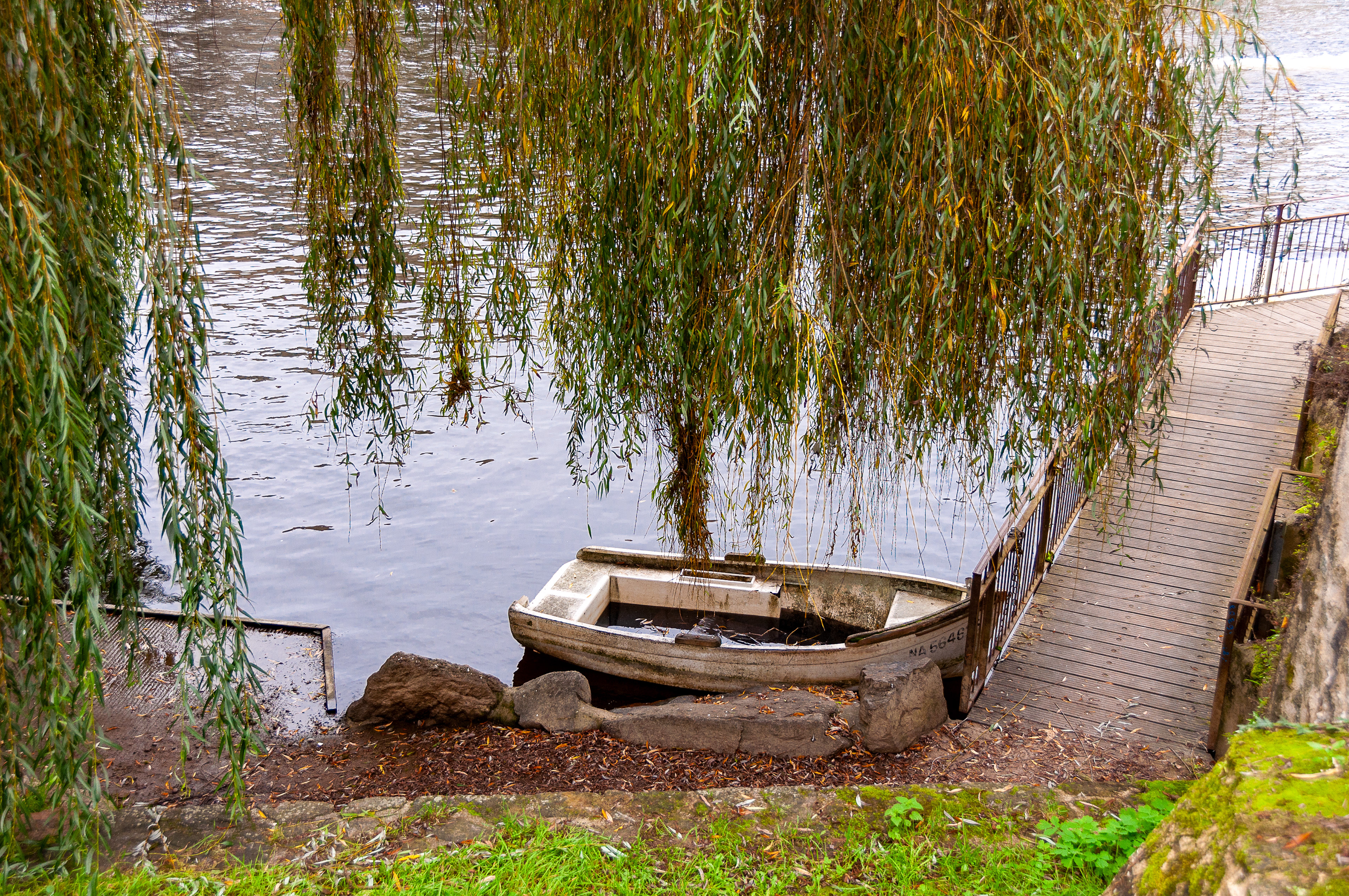 Barque sur la Sèvre
