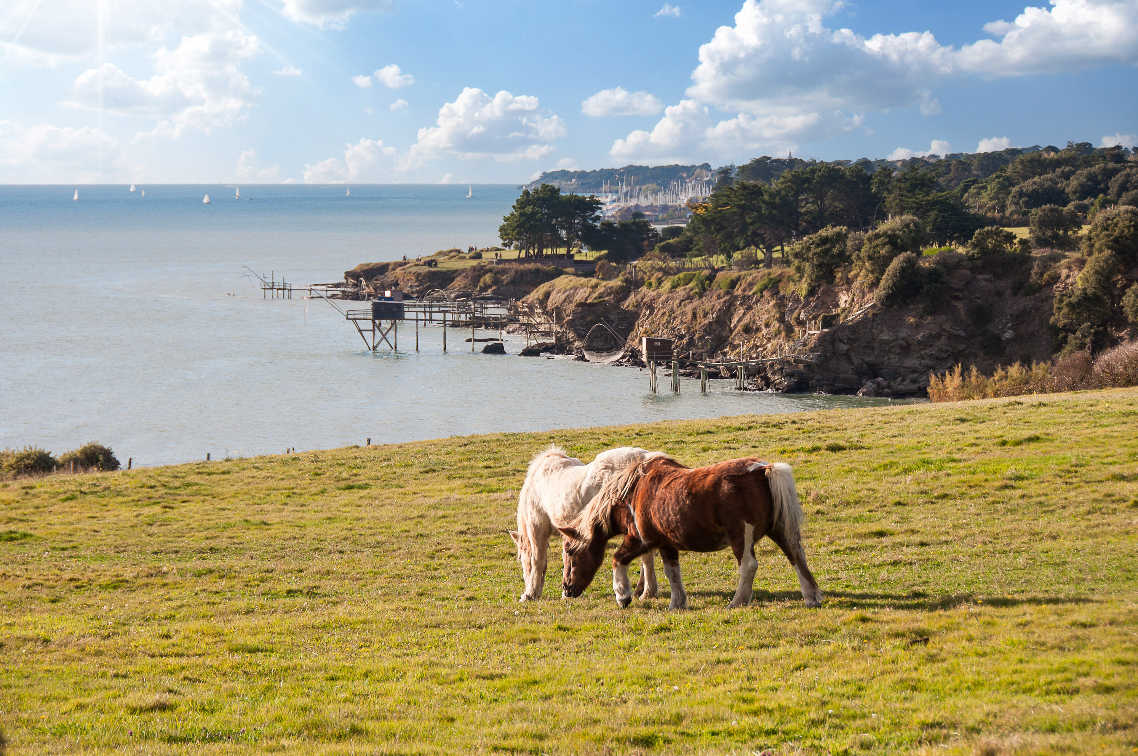 Pornic, Loire Atlantique
