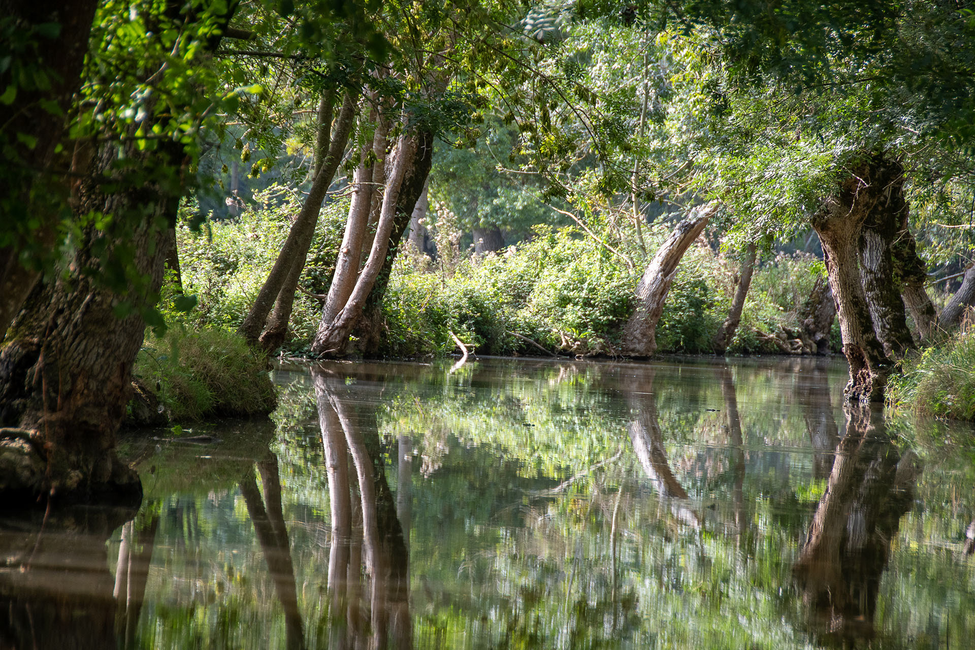 Reflets