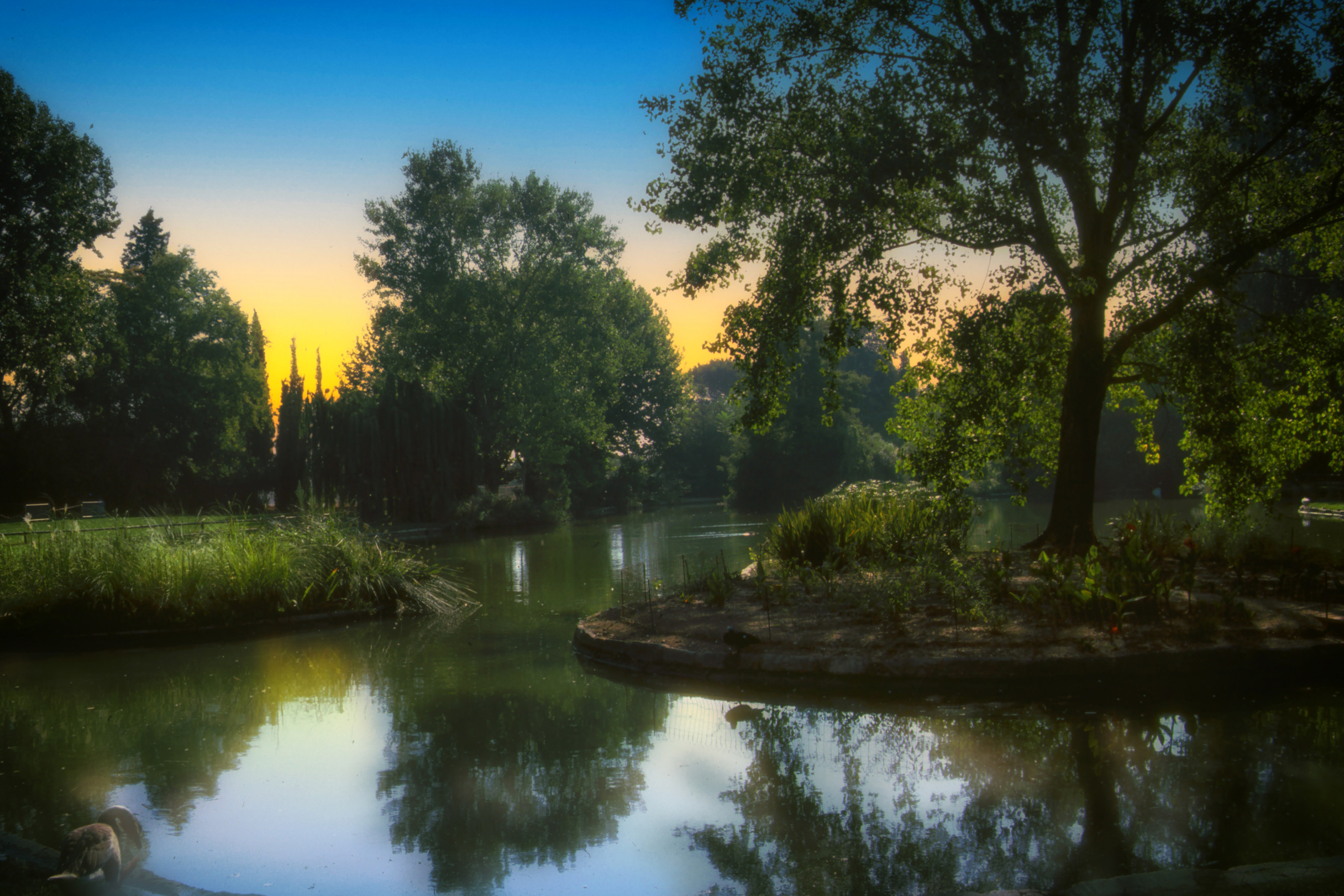 L'ile au reflets