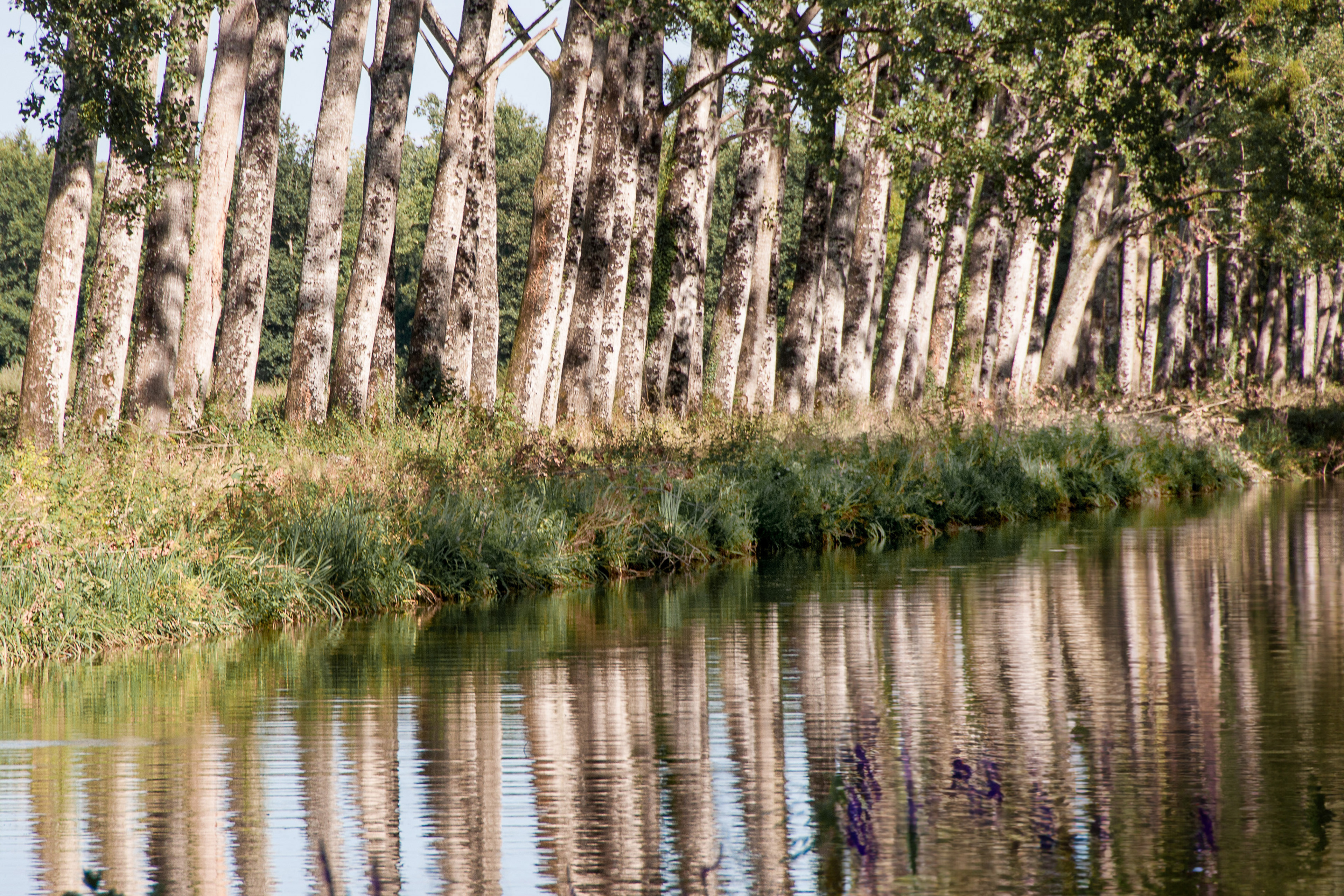 Reflets