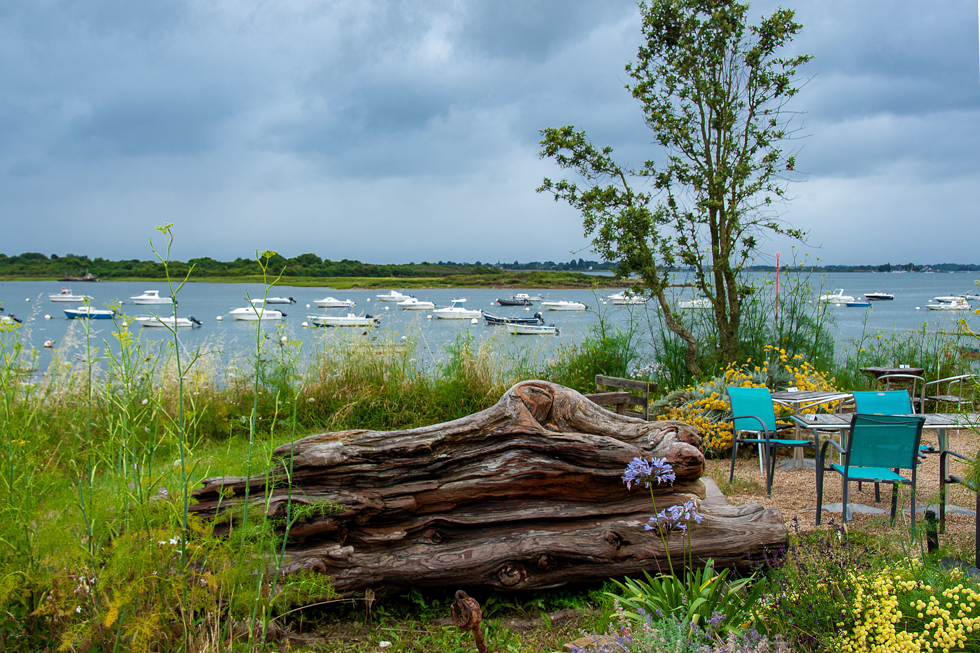 Pour déguster les huitres