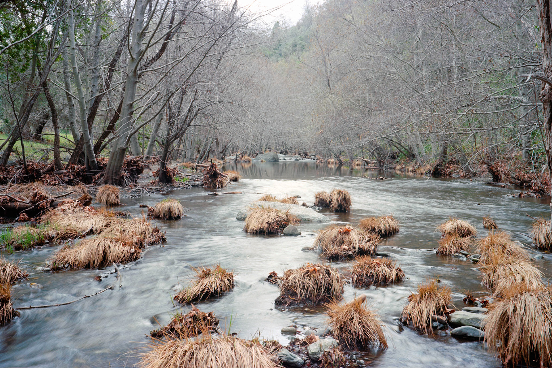 Sunol Wilderness — FujicaGW690, Kodak Ektar 100