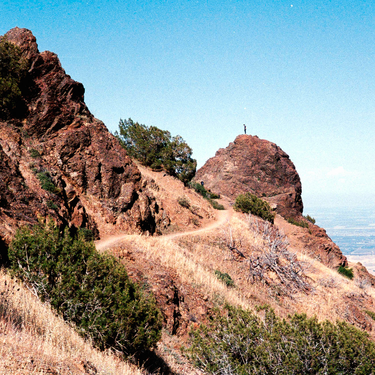 Mount Diablo — Leica M6, Kodak Ultramax 400