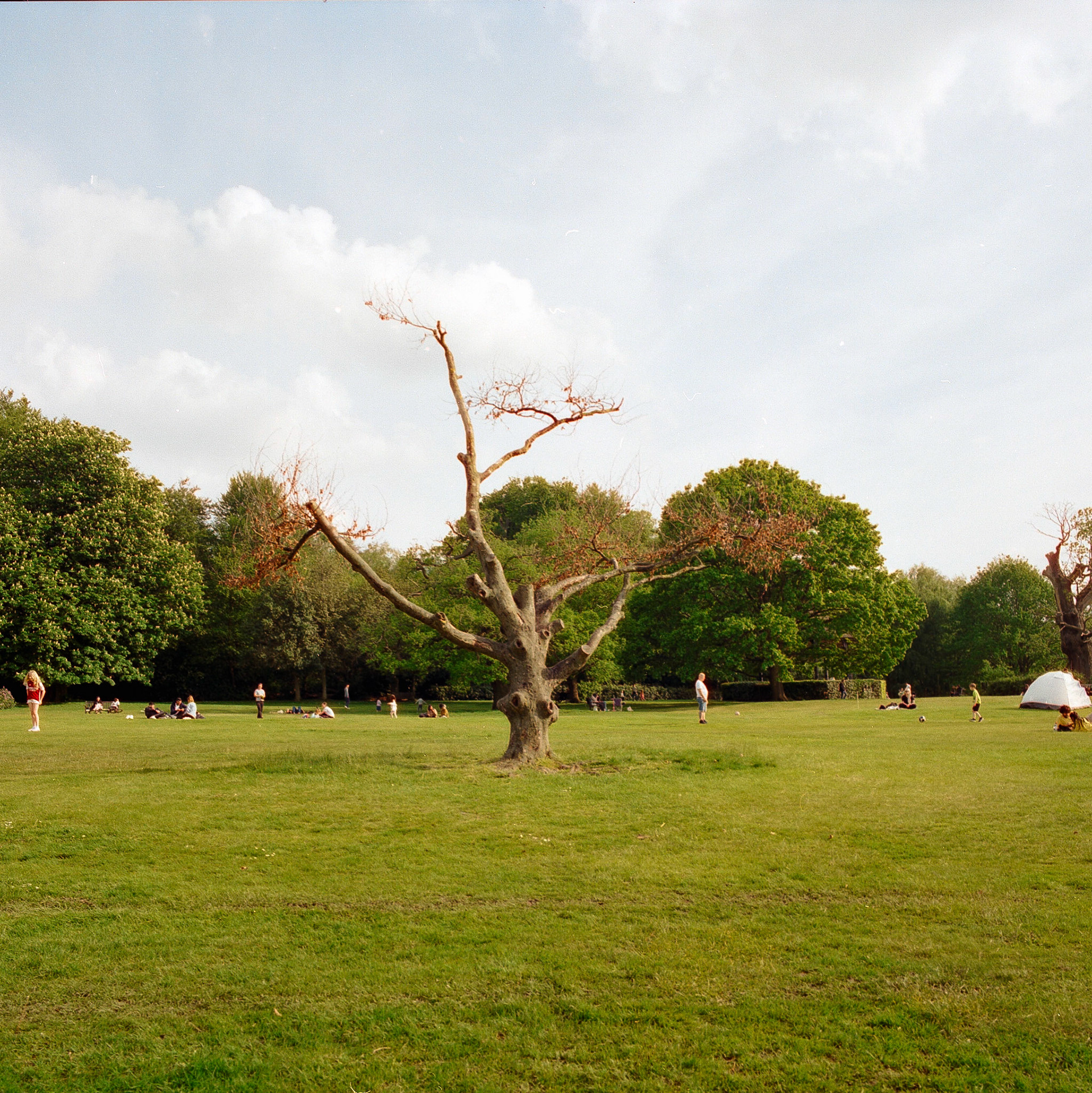 May, 2023 — Hasselblad 500cm, Cinestill 400D