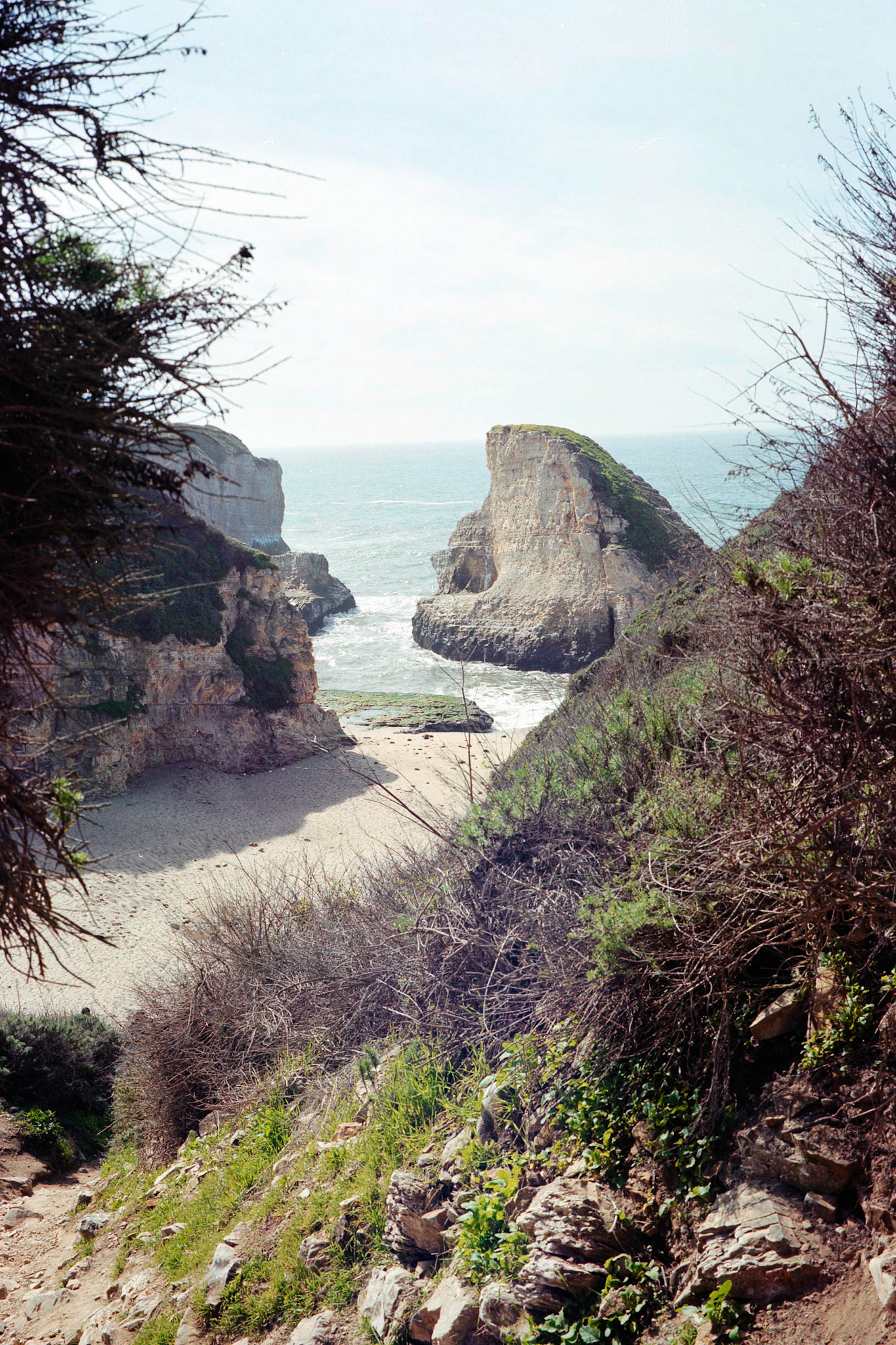 Sharkfin Cove, Davenport — FujicaGW690, Kodak Portra 400