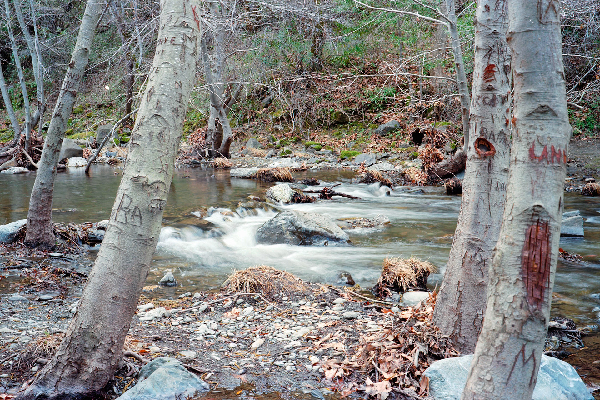 Sunol Wilderness — FujicaGW690, Kodak Ektar 100