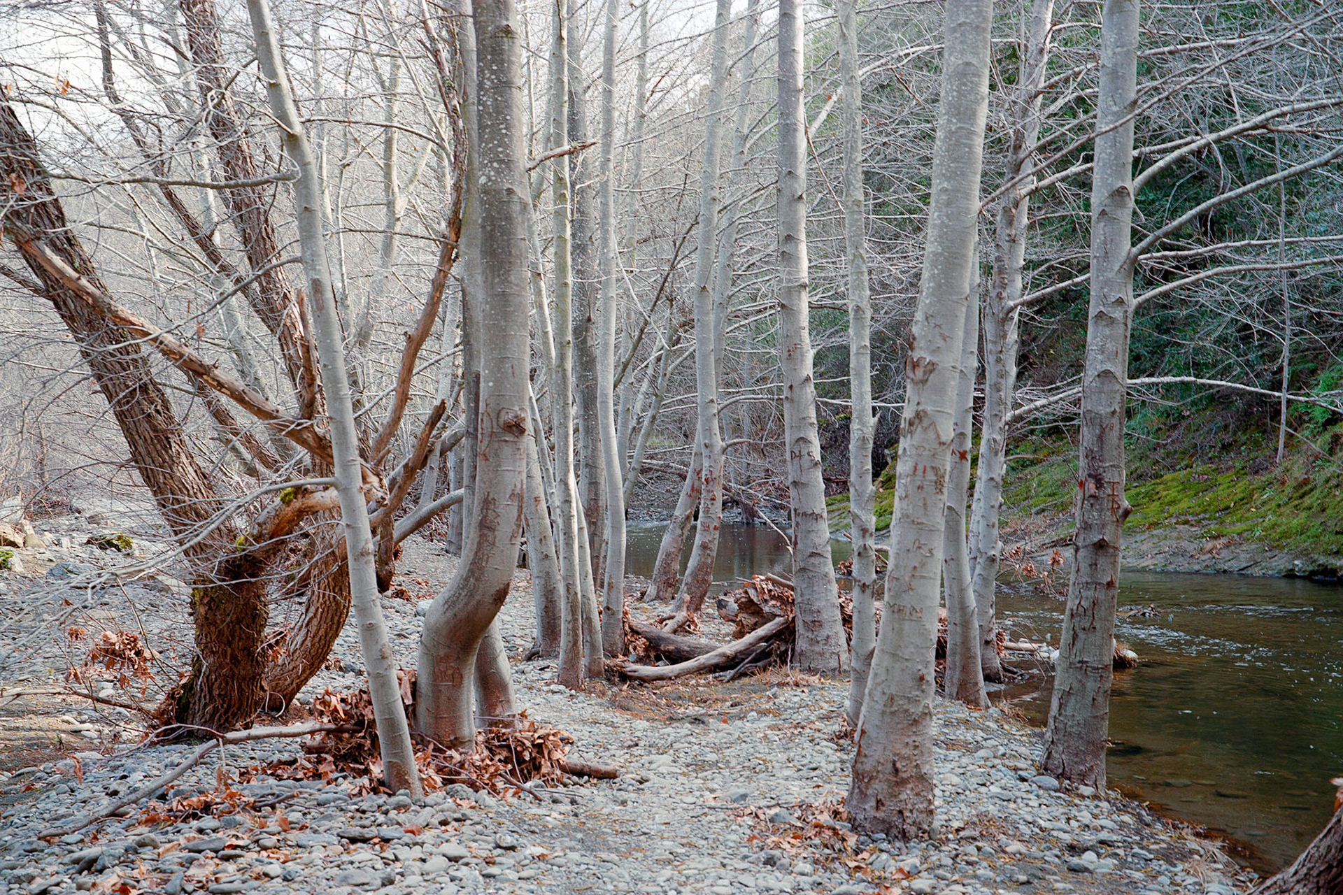 Sunol Wilderness — FujicaGW690, Kodak Ektar 100
