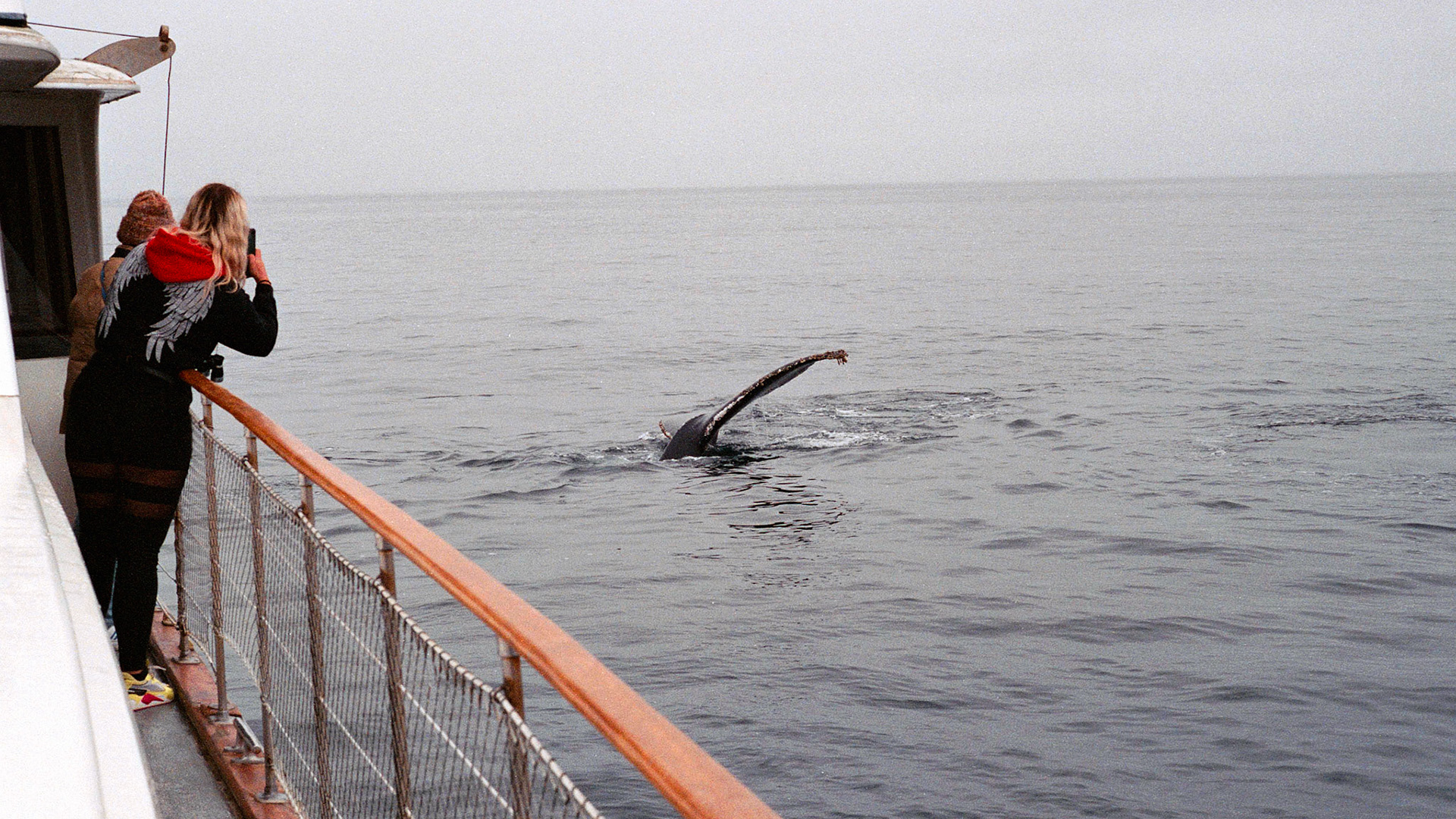 Leica M6, Fuji Superia 400