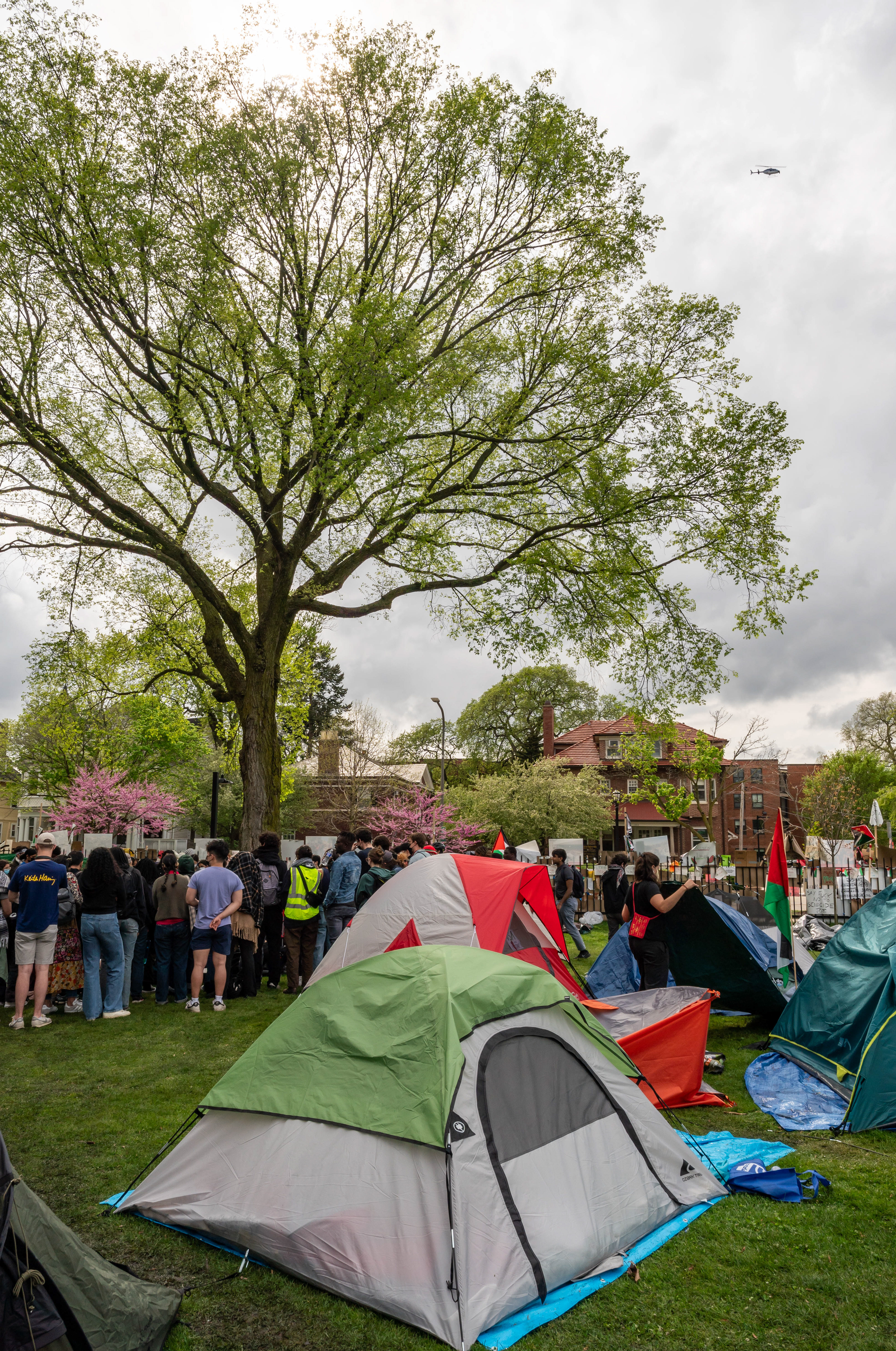 After organizers announced an agreement with Northwestern University, encampment participants gather under a tree to discuss next steps while others take down tents at Deering Meadow in Evanston, Illinois on April 29, 2024. The TRiiBE