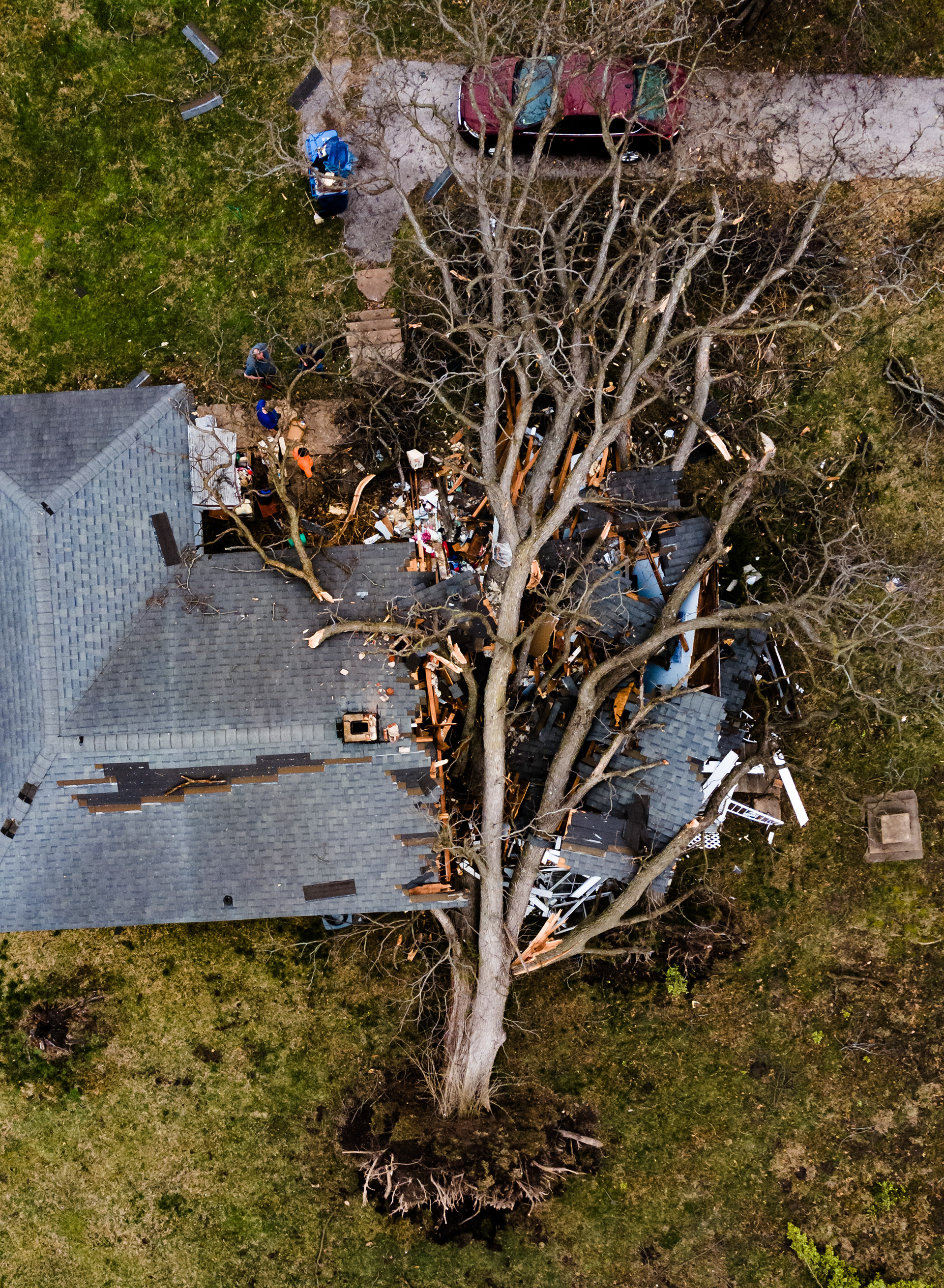 A tree sits on a house after falling and collapsing the roof during storms the night before in Florissant, Missouri on March 15, 2025. Rich, who declined to share his last name, said he's lived in the house since his parents bought it in 1965. Rich was in the house during the storms, but he sheltered in the basement and was not injured. St. Louis Post-Dispatch
