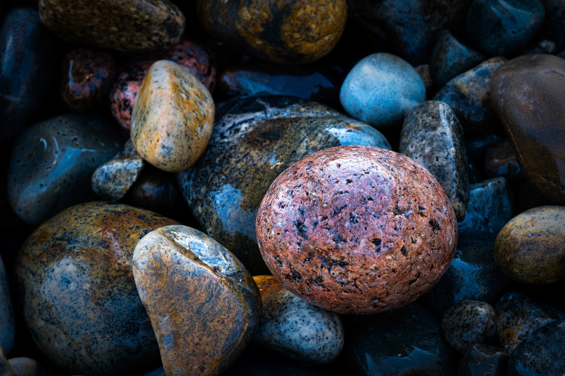 Acadia National Park, ME