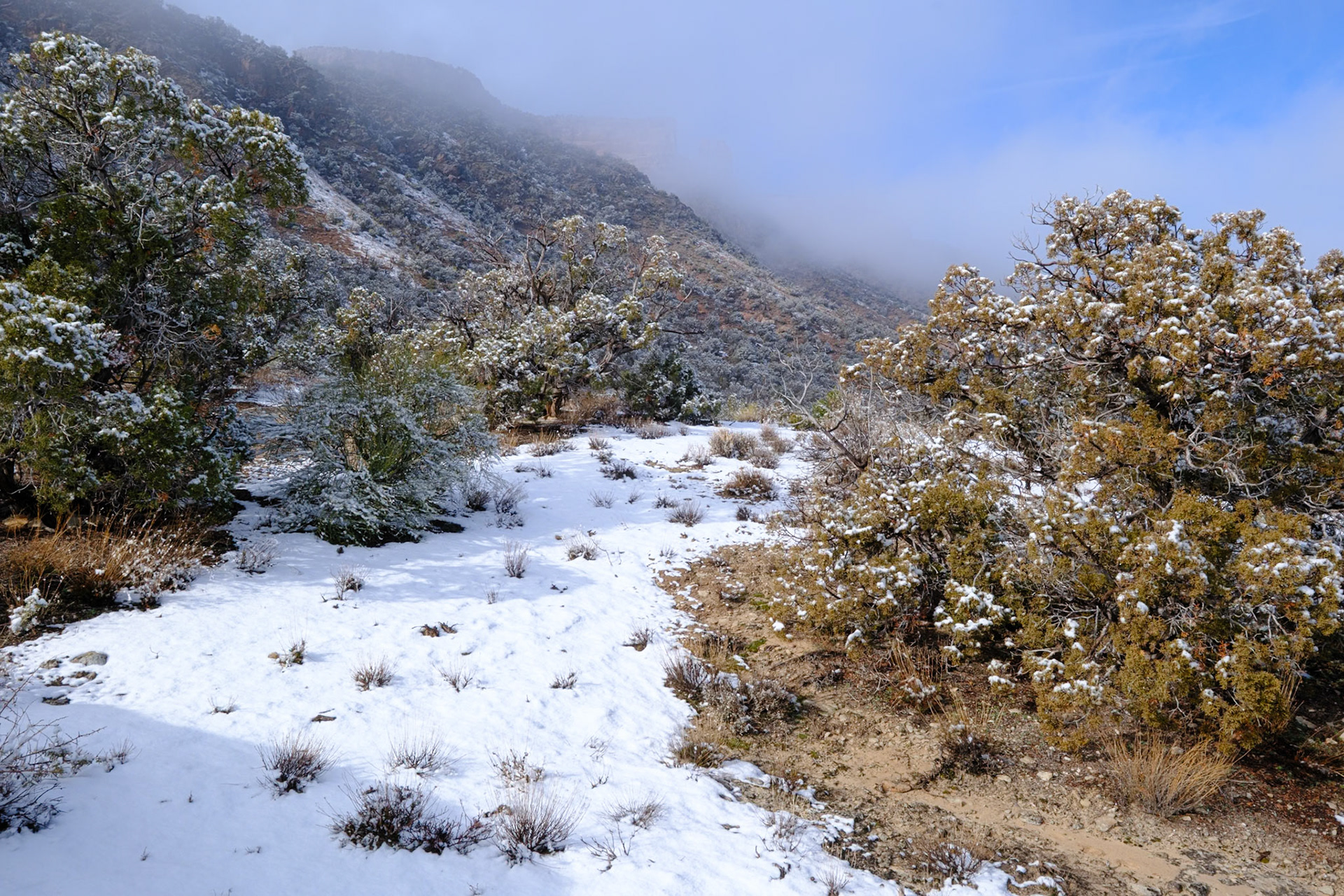 Colorado National Monument