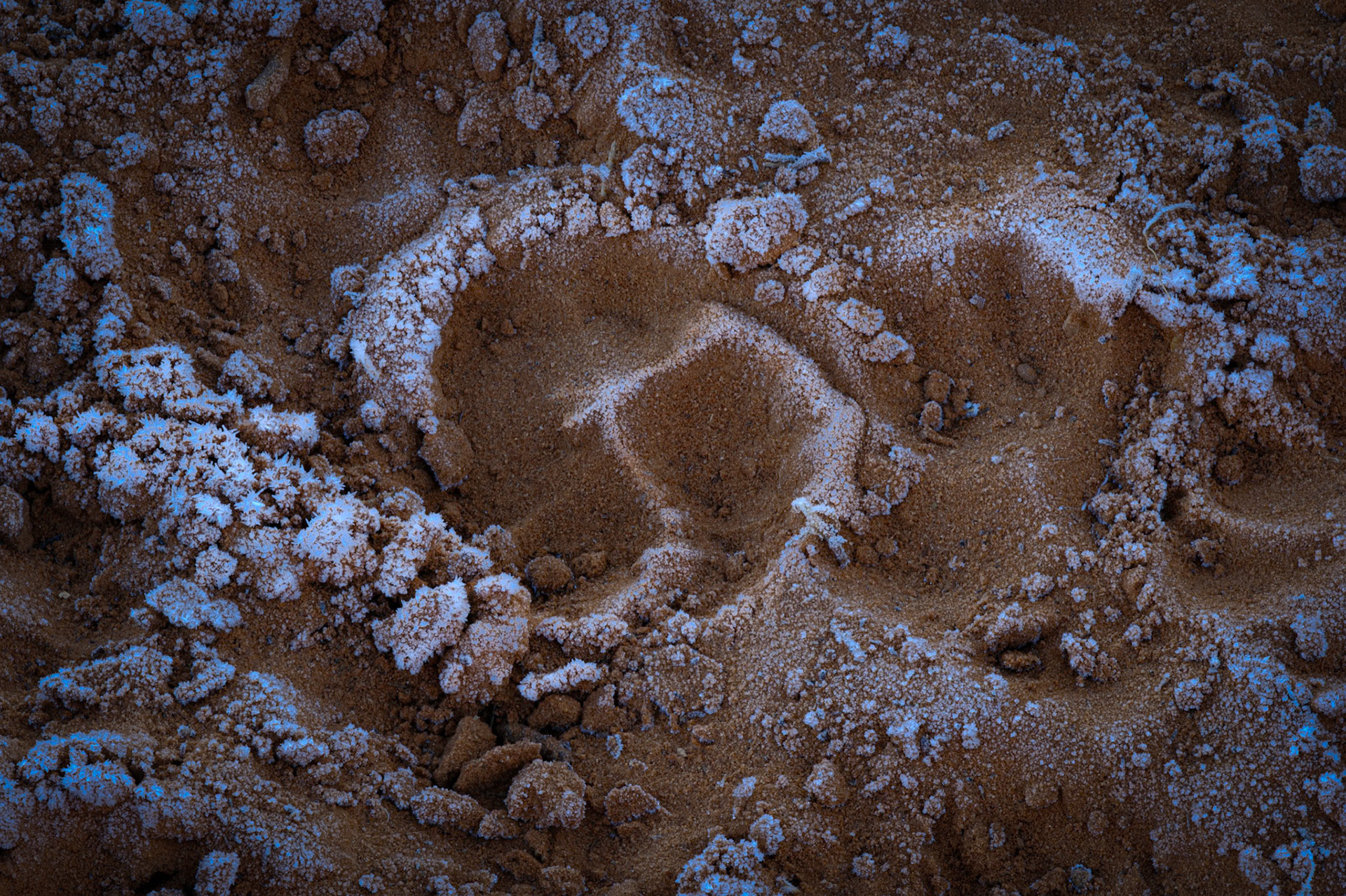 McGinnis Canyon, Grand Junction, CO