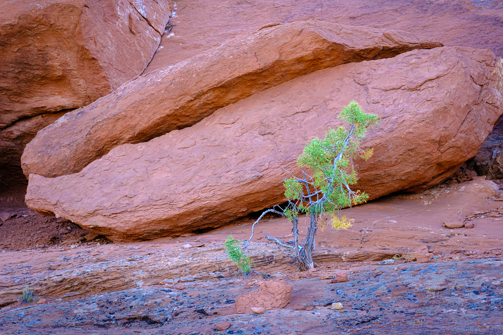 Colorado National Monument