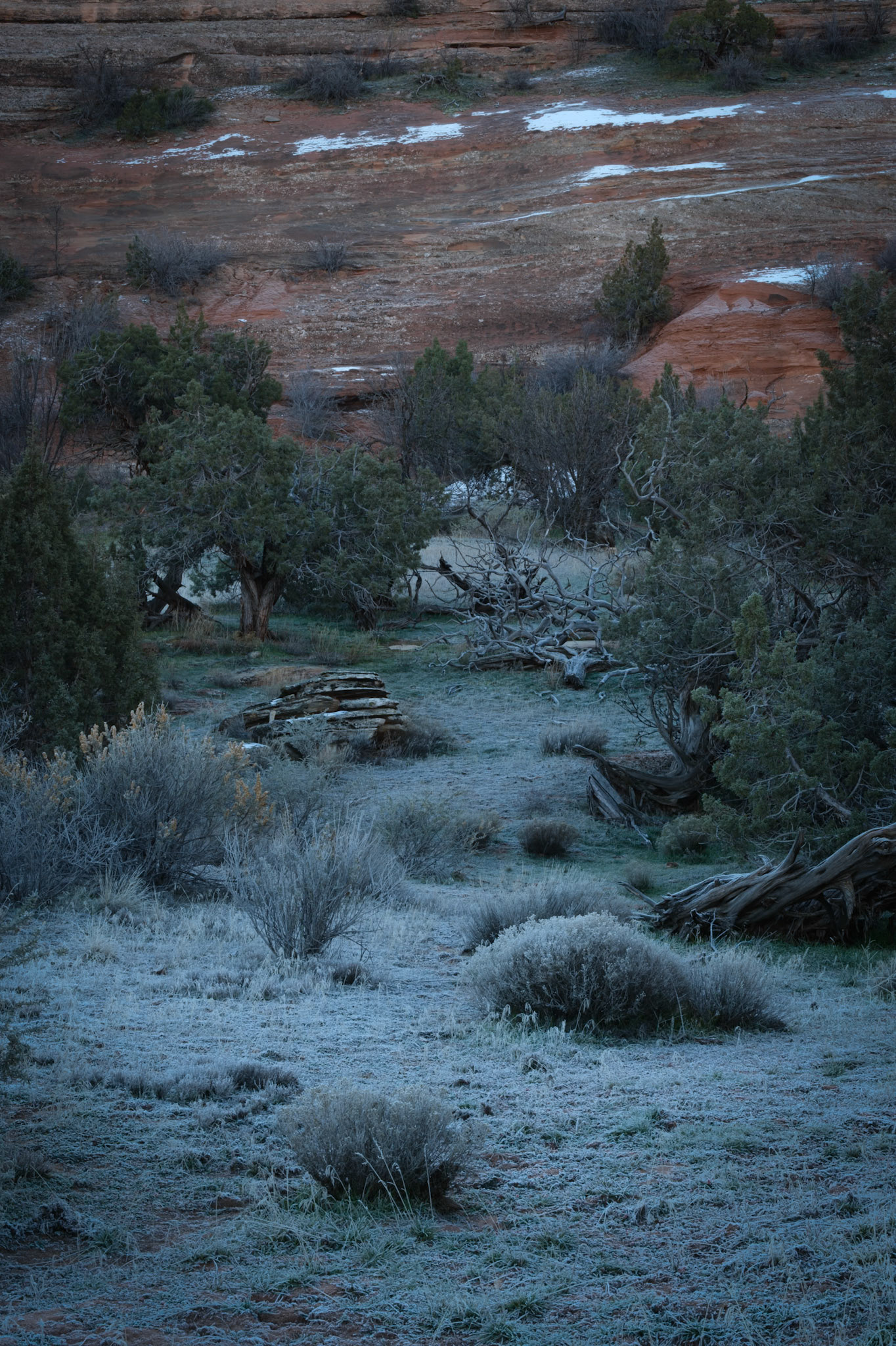 McGinnis Canyon, Grand Junction, CO