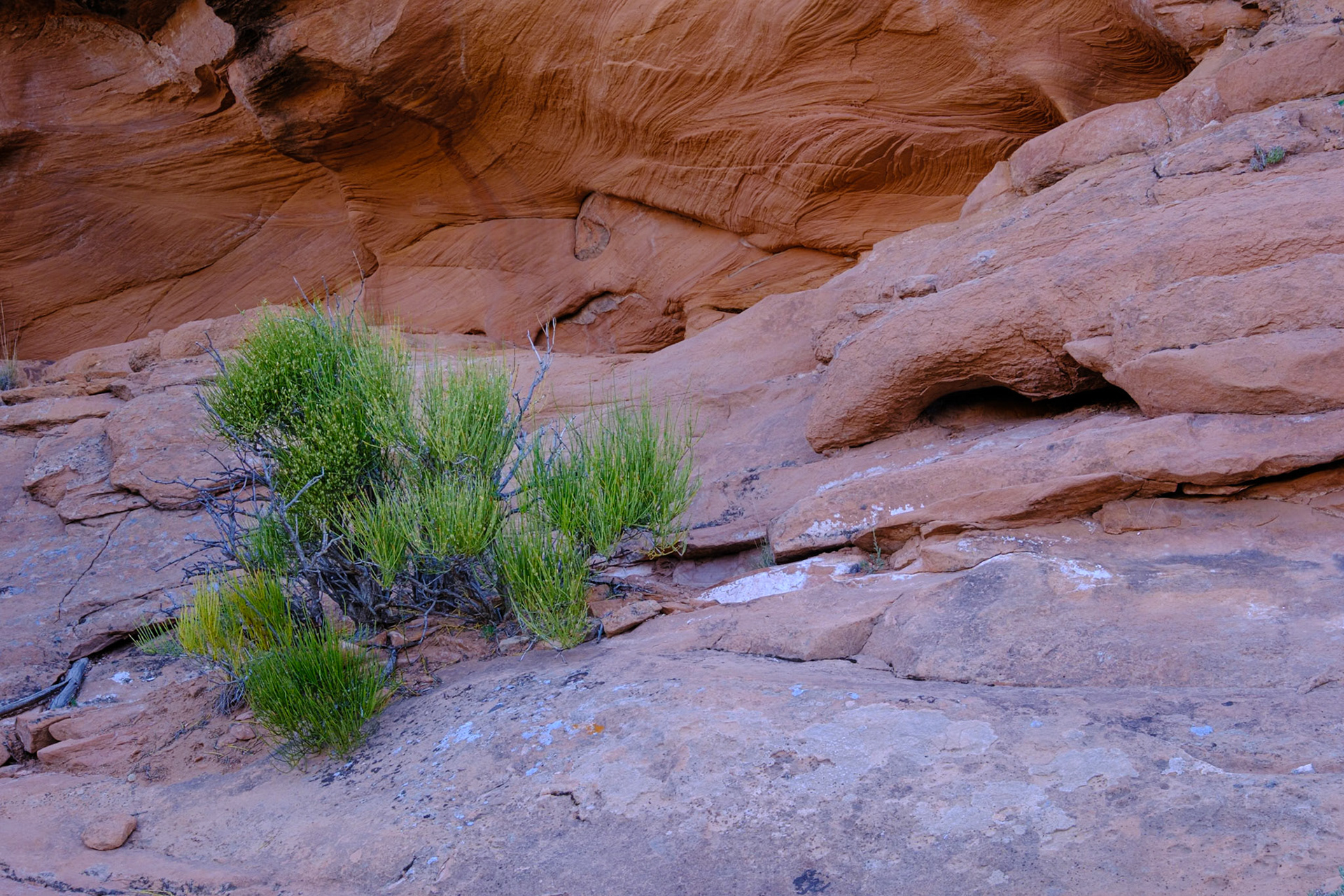 Colorado National Monument