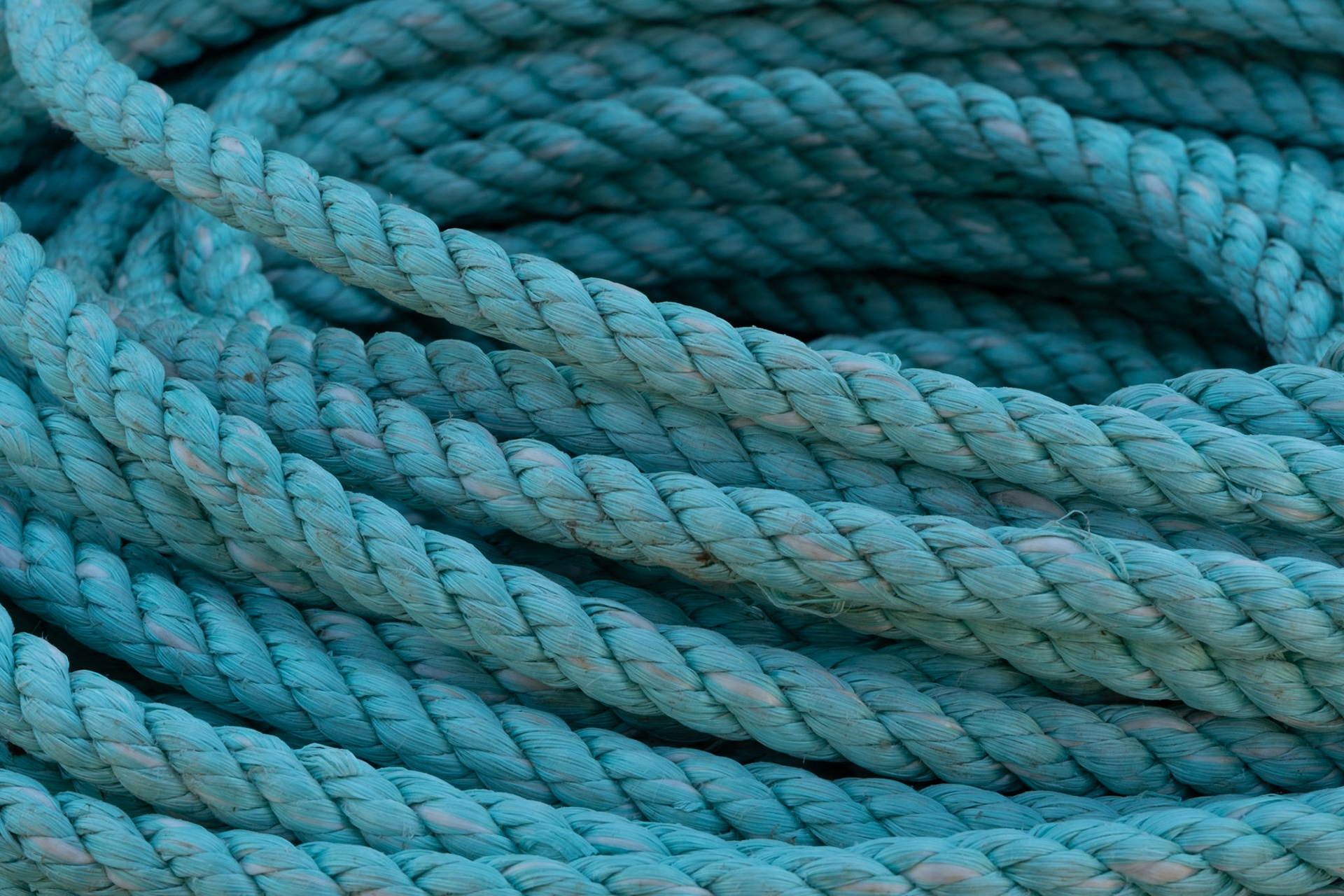 Acadia National Park, ME