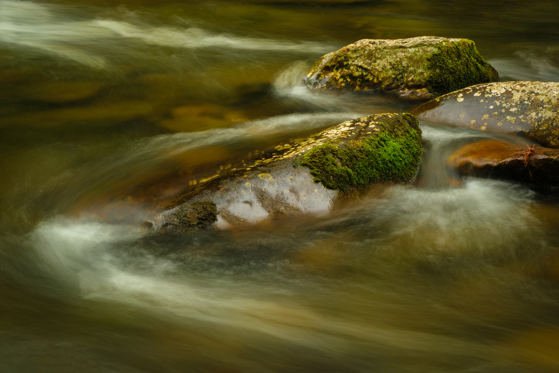 Smoky Mountains National Park, TN