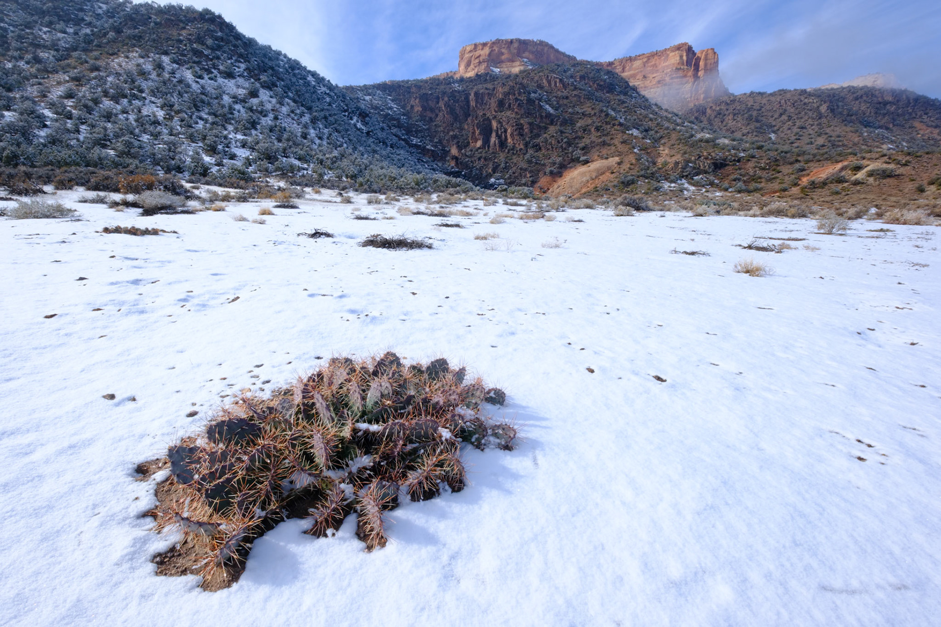 Colorado National Monument