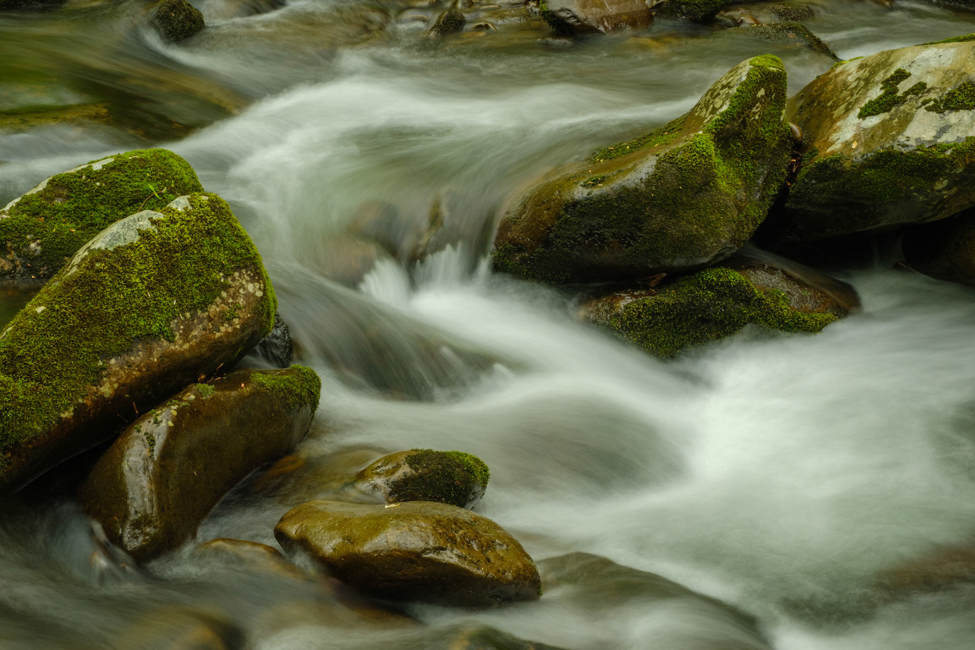 Smoky Mountains National Park, TN