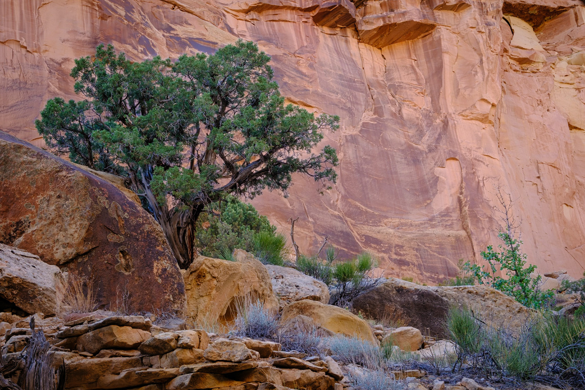 Colorado National Monument