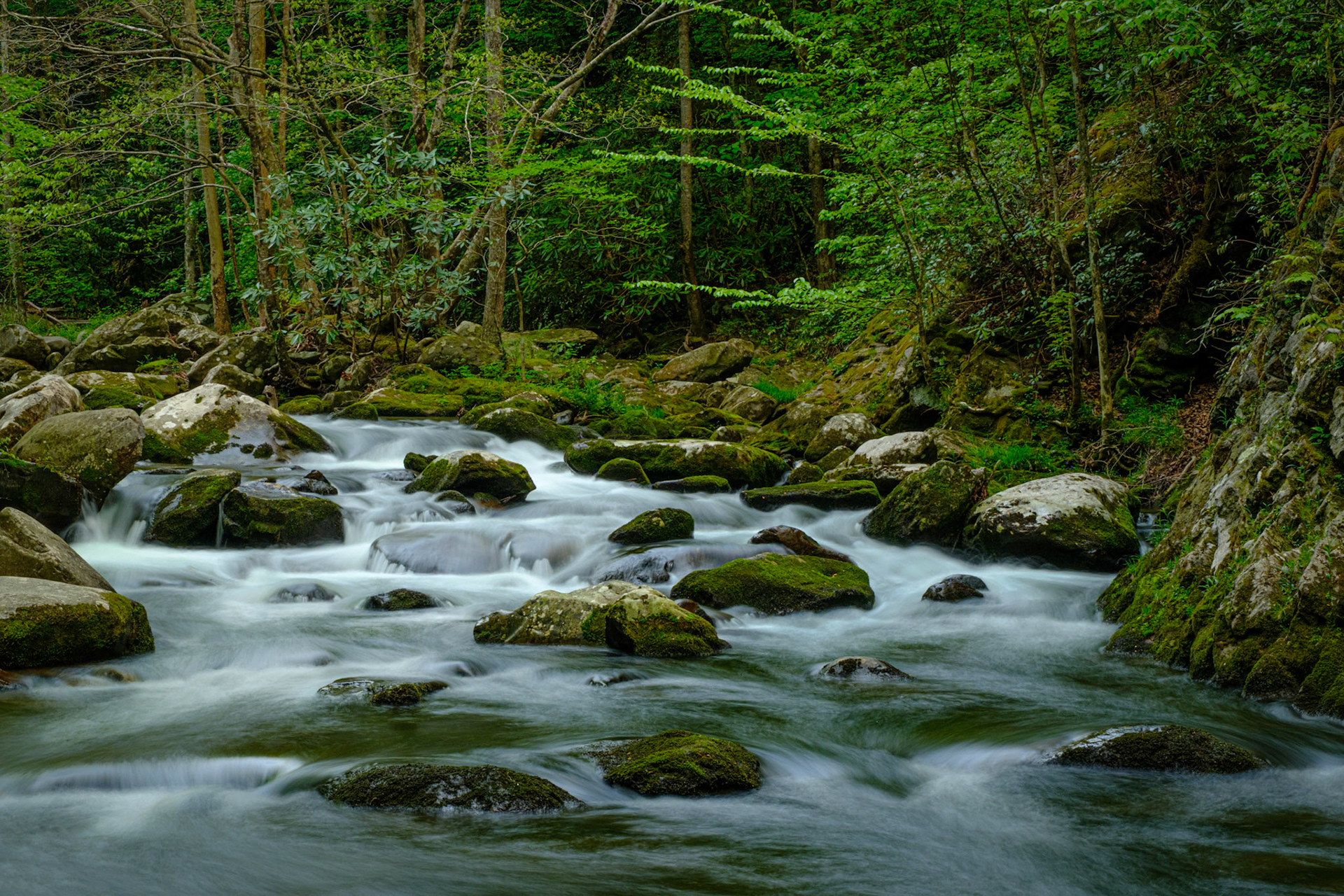 Smoky Mountains National Park, TN