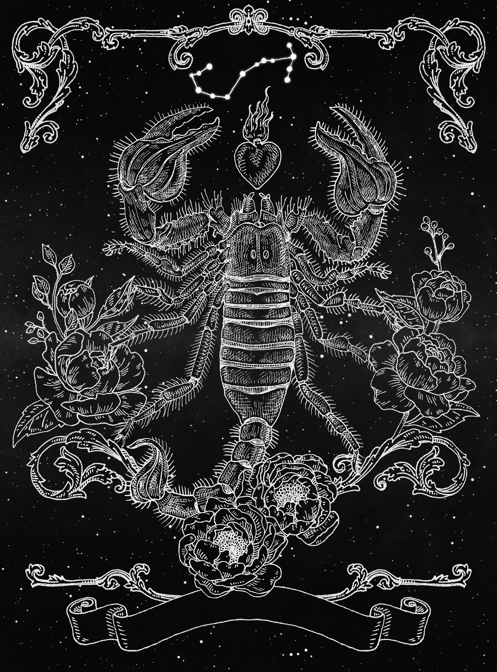 Scorpio
