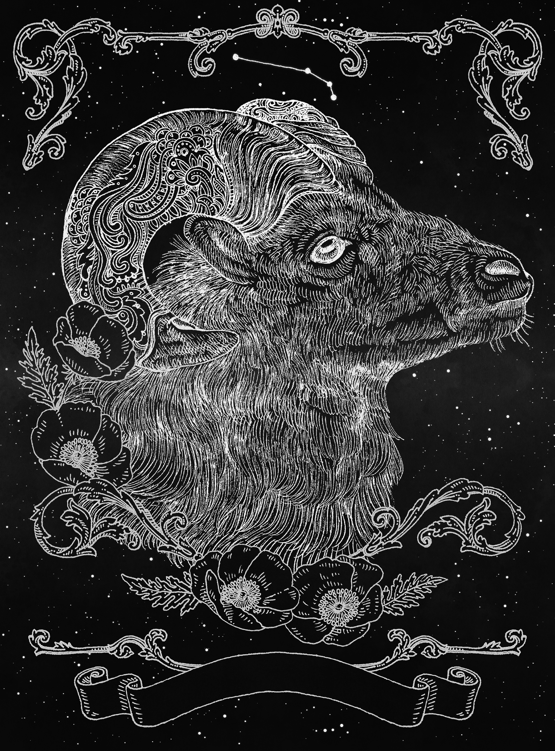 Aries