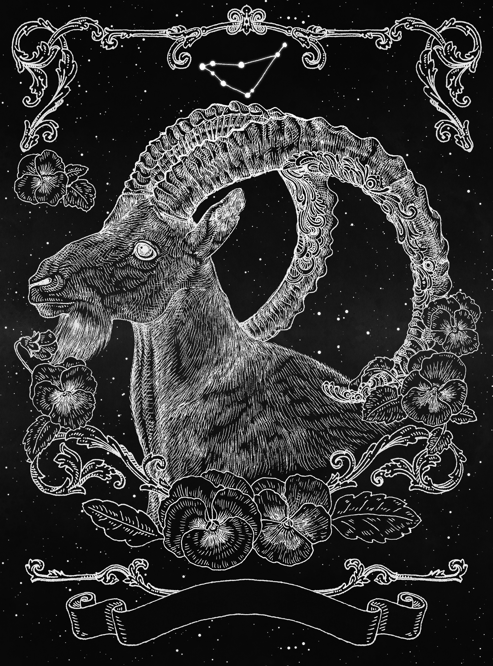 Capricorn
