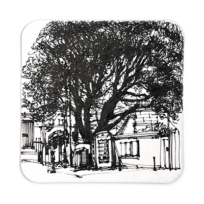 Day 93 Tree, Bath