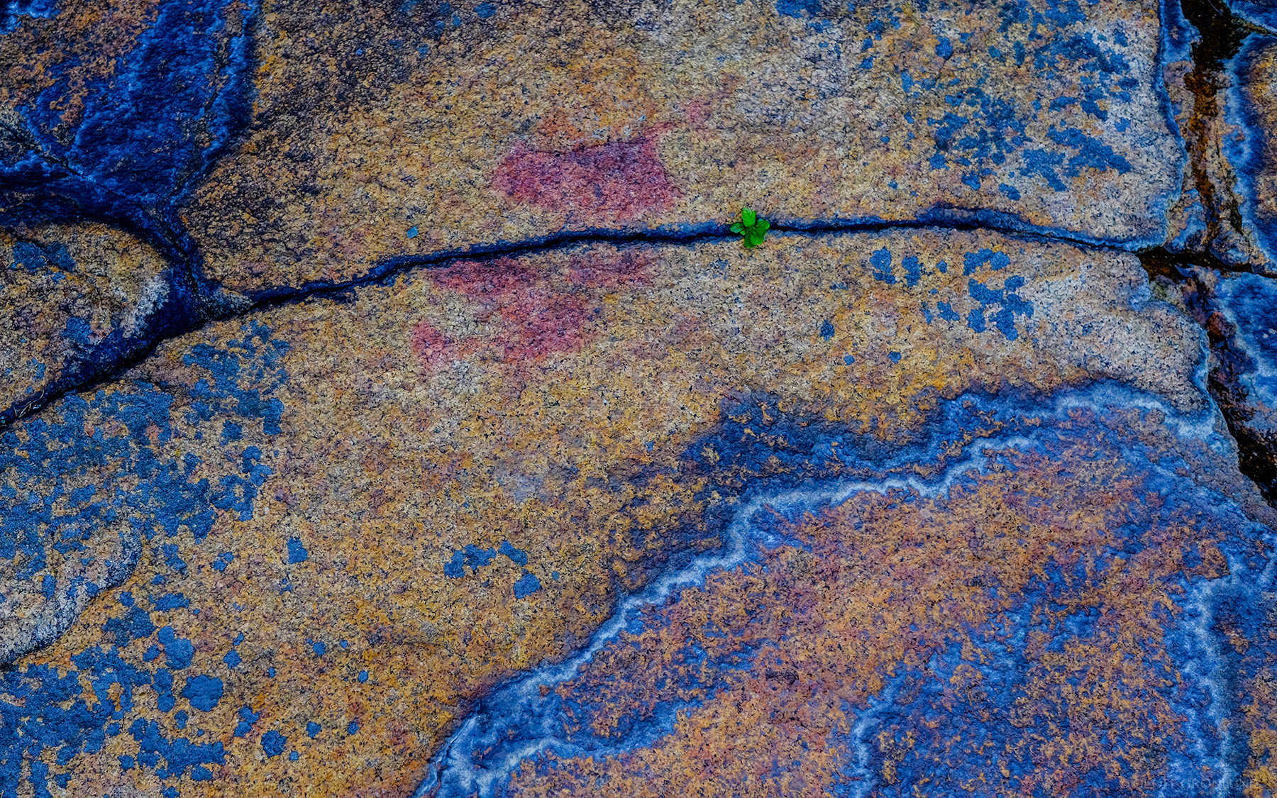 Maine Stone (1)