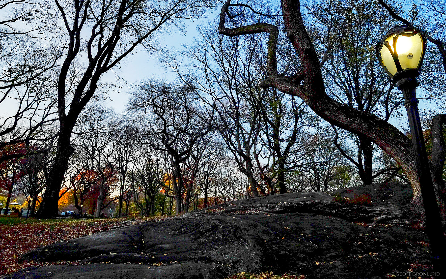 Central Park, New York City