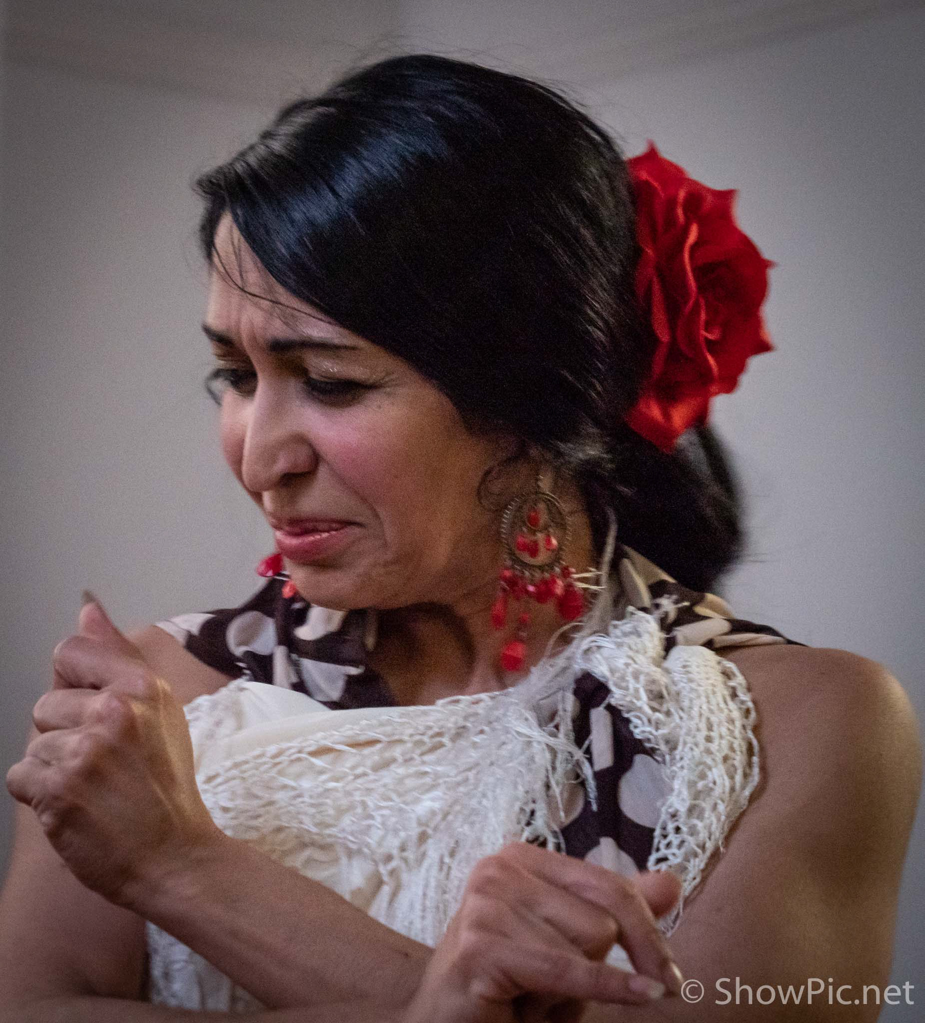 Sandra Palomar Flamenco