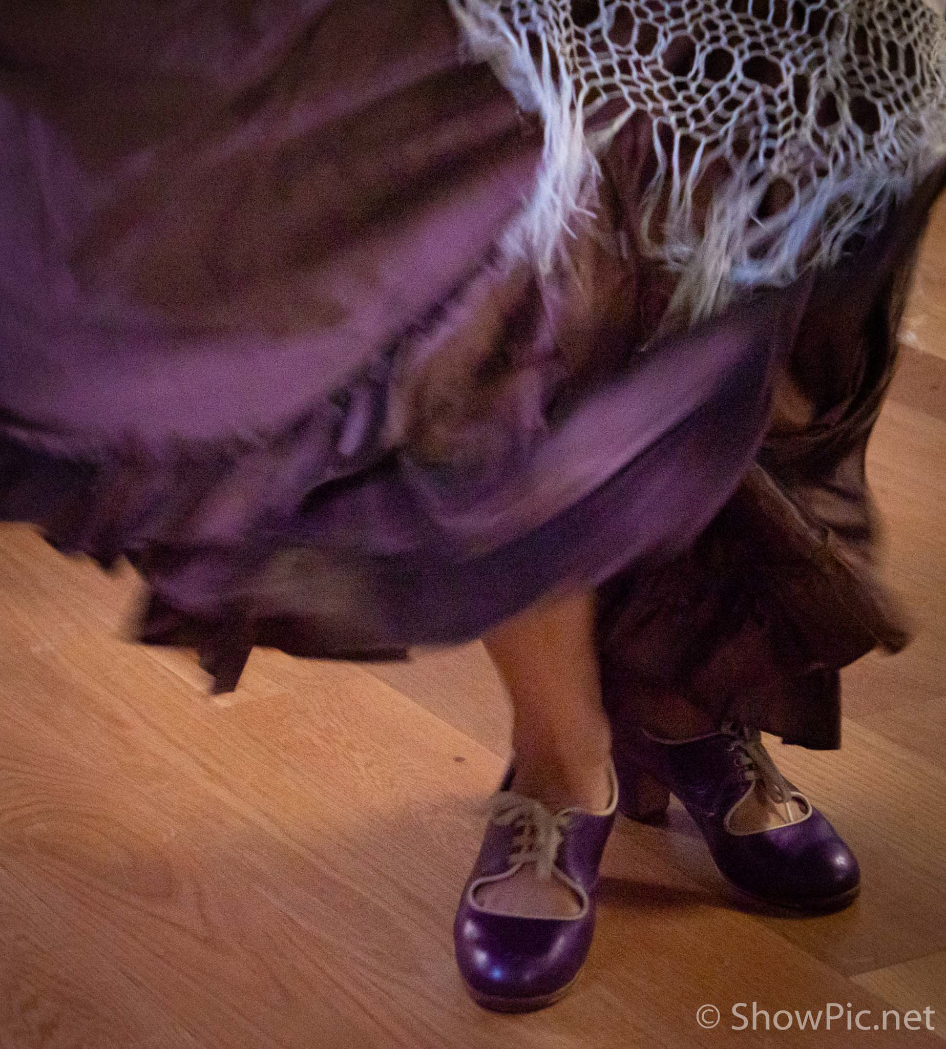 Sandra Palomar Flamenco