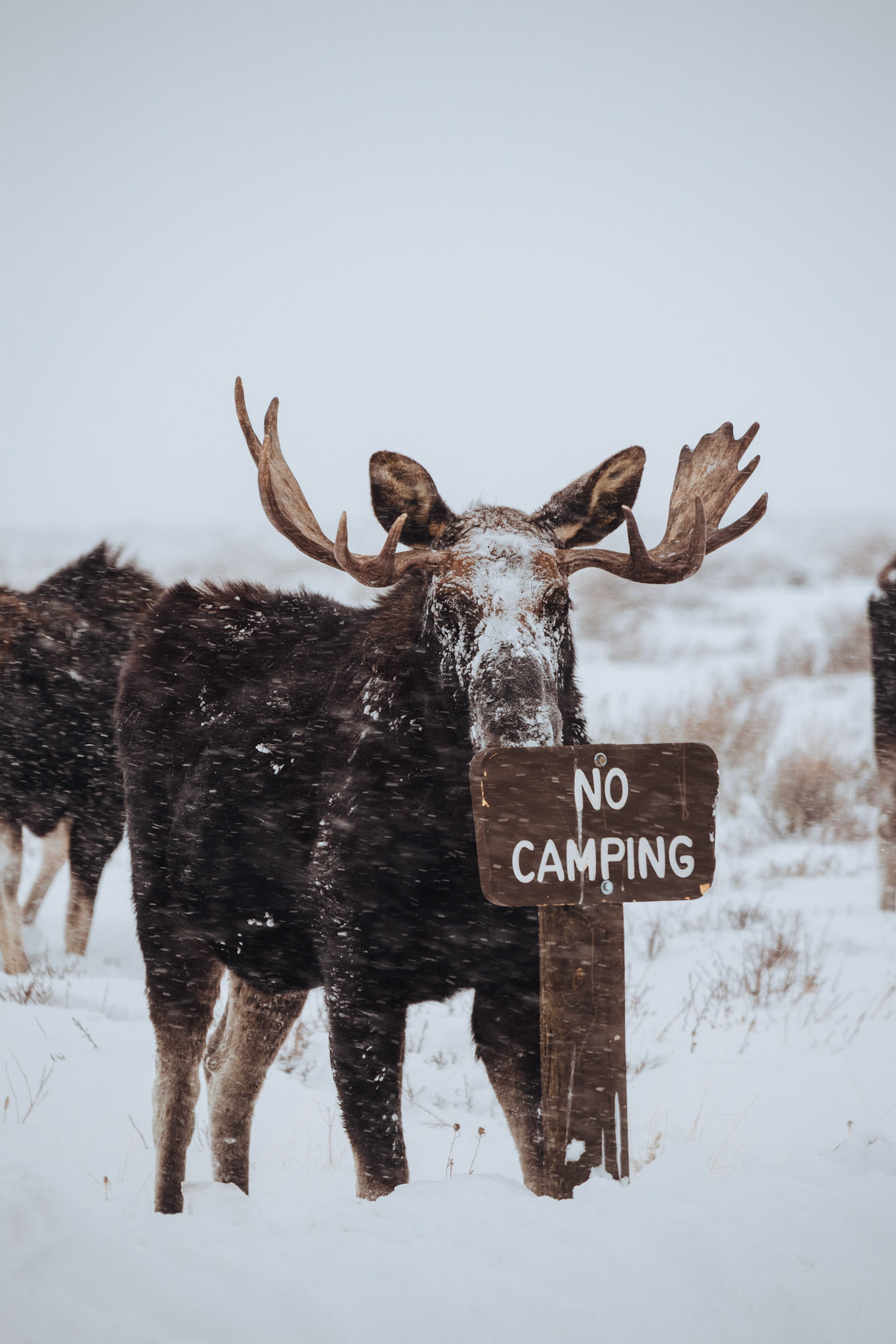 Teton Valley. The sign says it all.