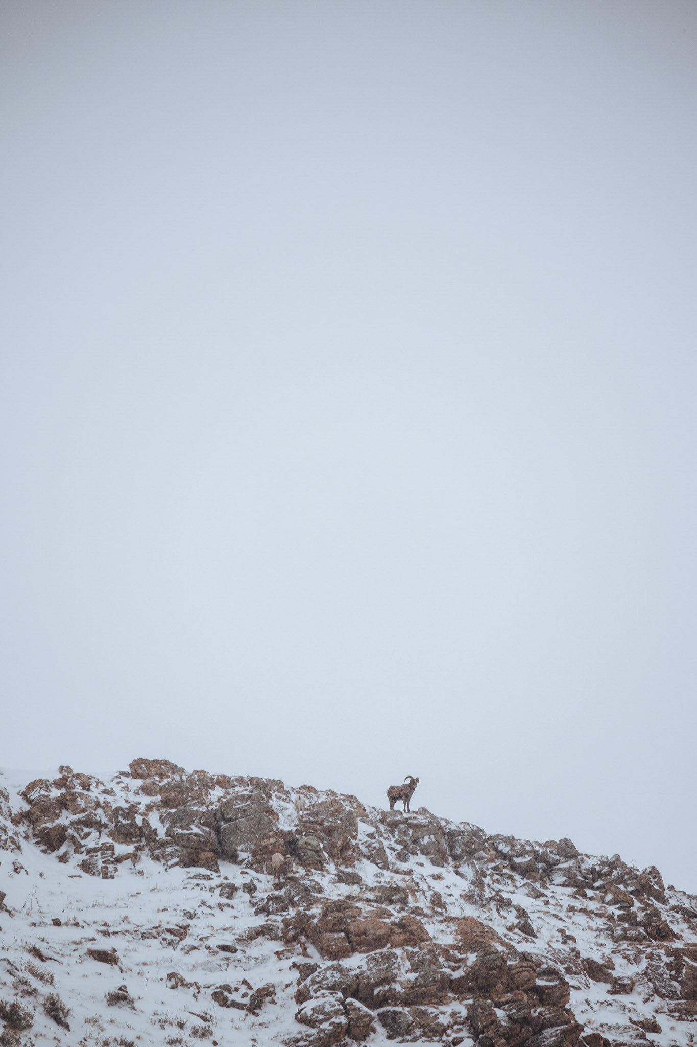 Jackson WY. It is Lonely at the top.