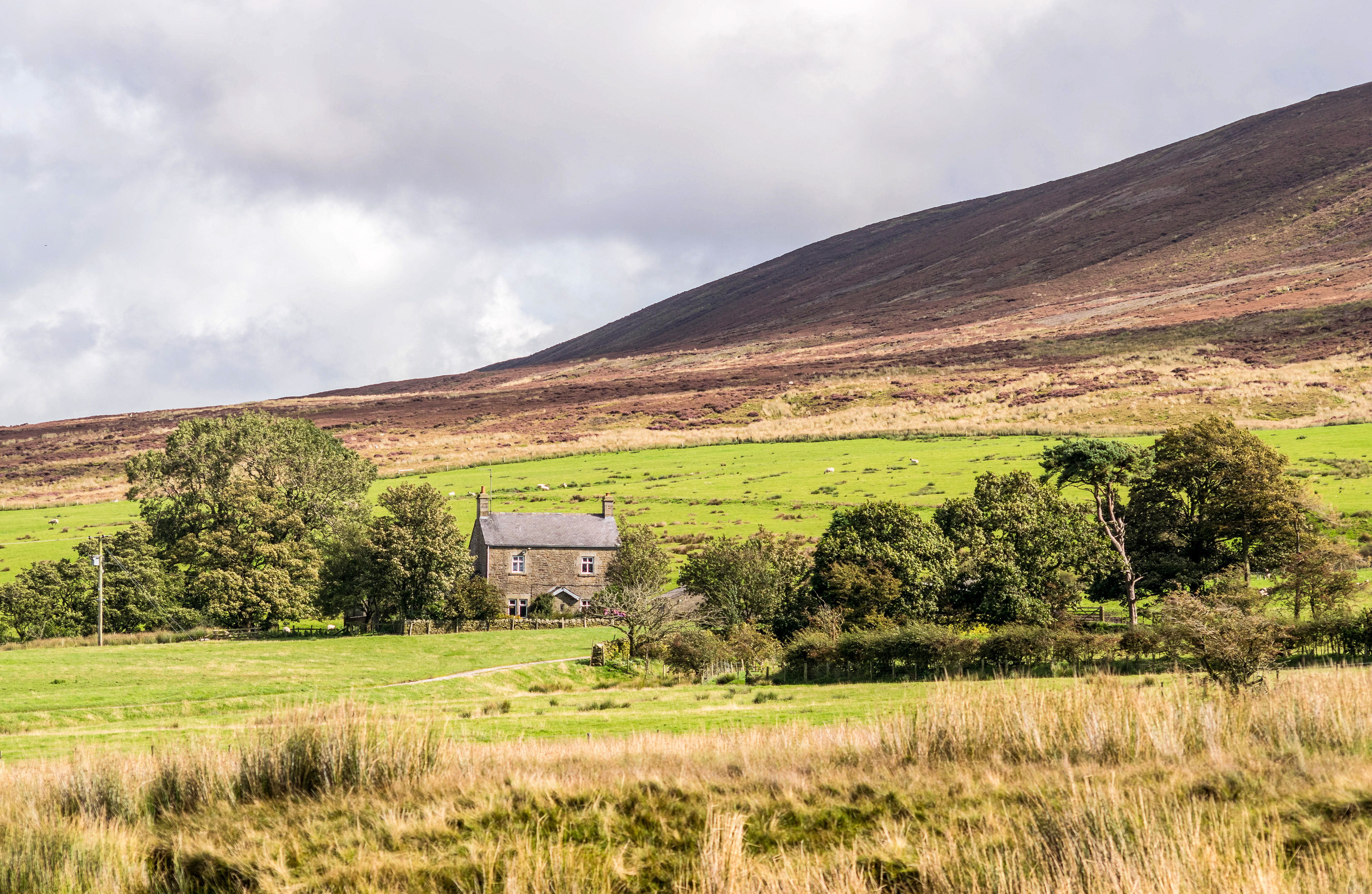 House and Hill