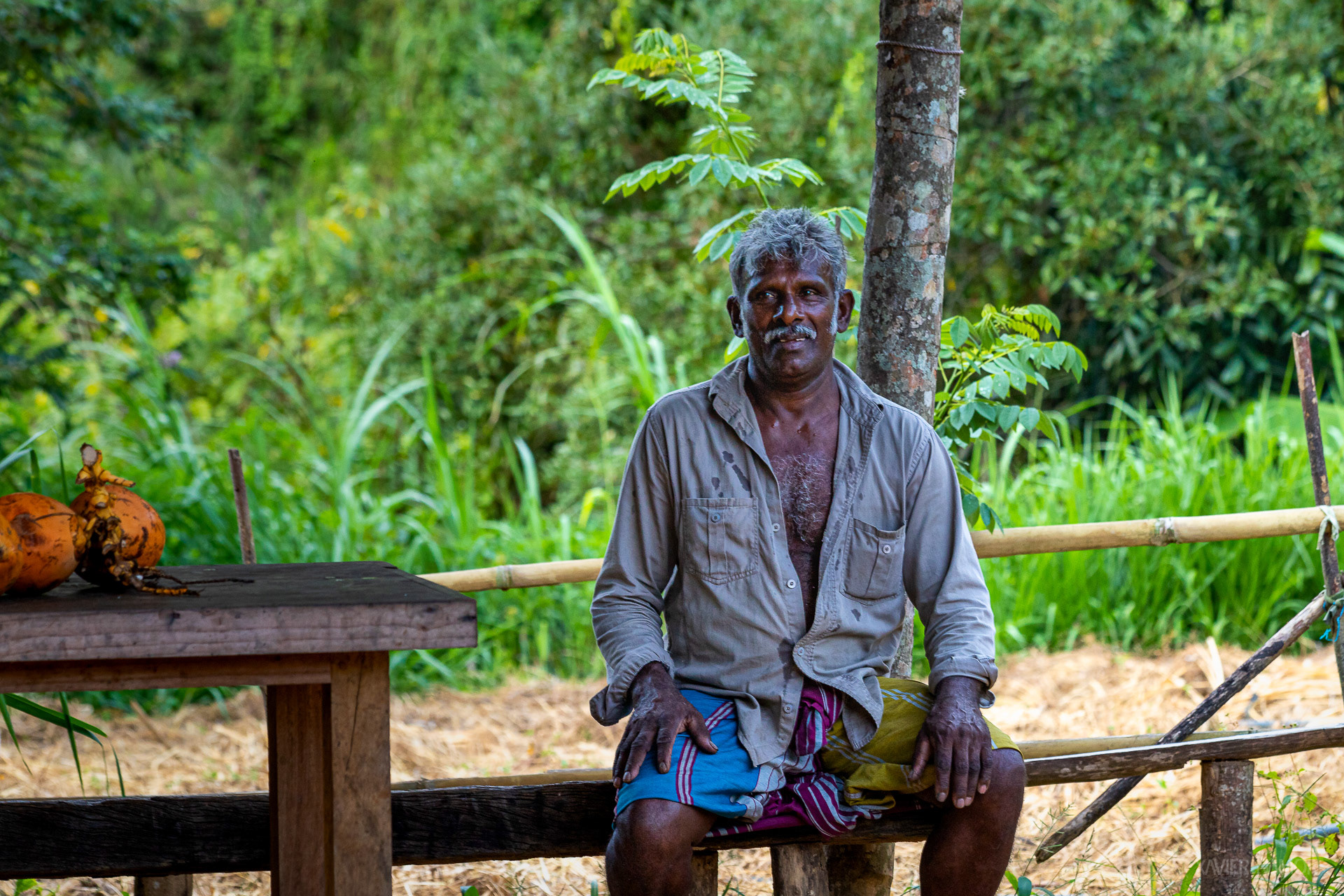 Vendeur de Coco dans la jungle
