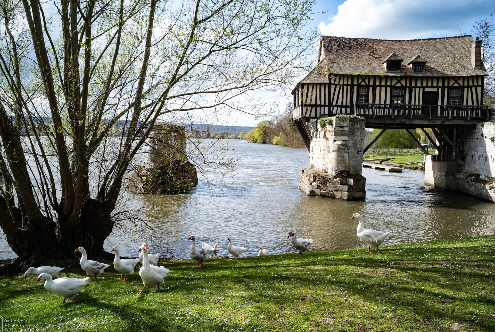 Excursion of the geese