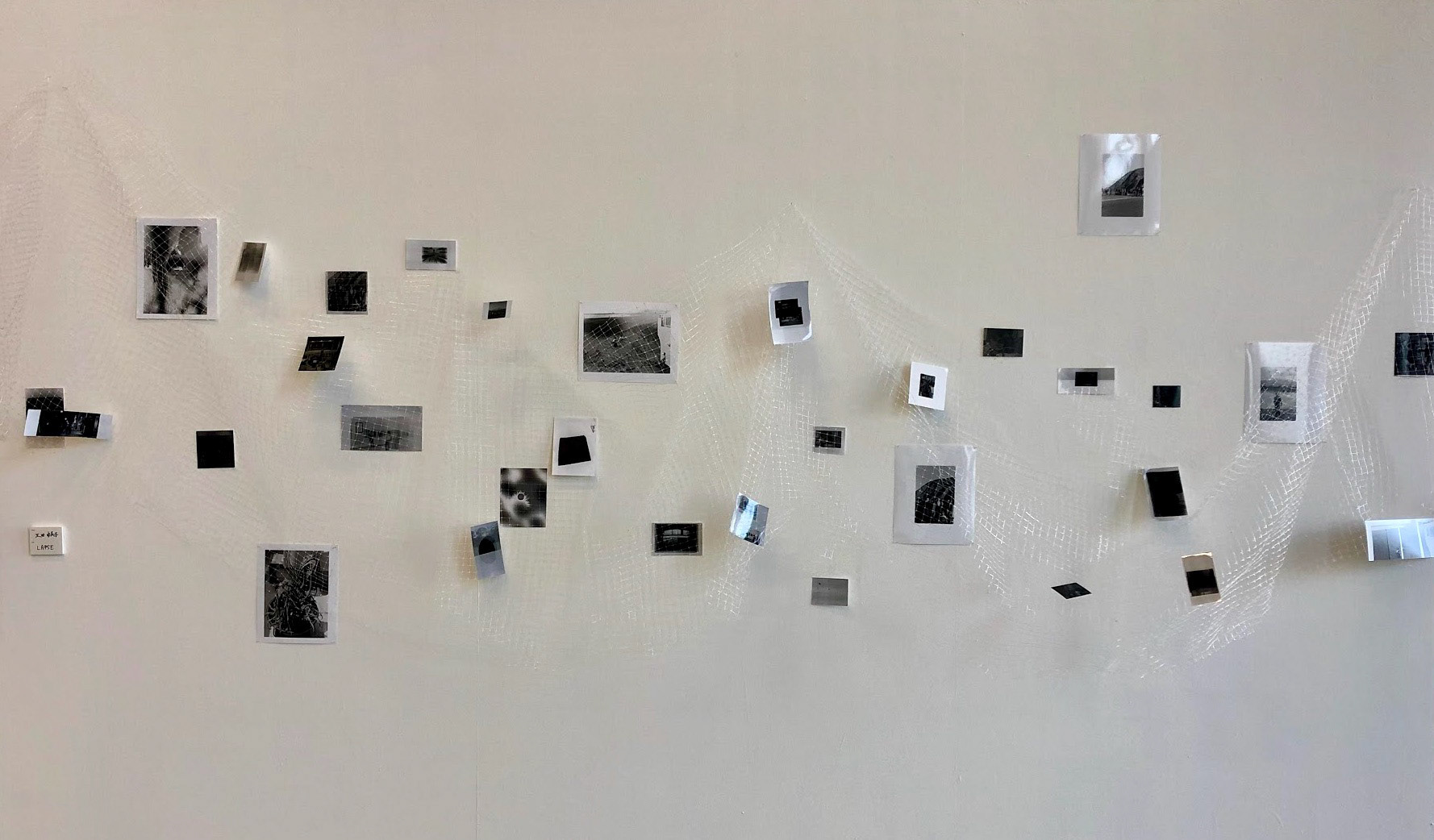 LAPSE: MIXED MEDIA (PHOTOGRAPHY, PLASTIC NET)