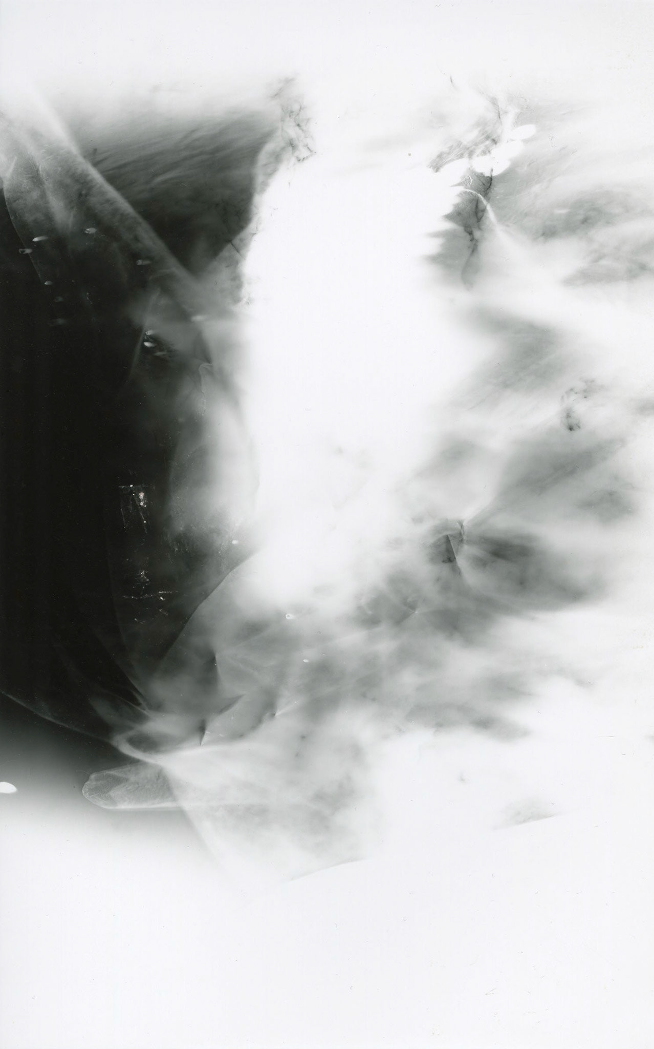 LIGHT HOUR: GELATIN SILVER PRINT (PHOTOGRAM)