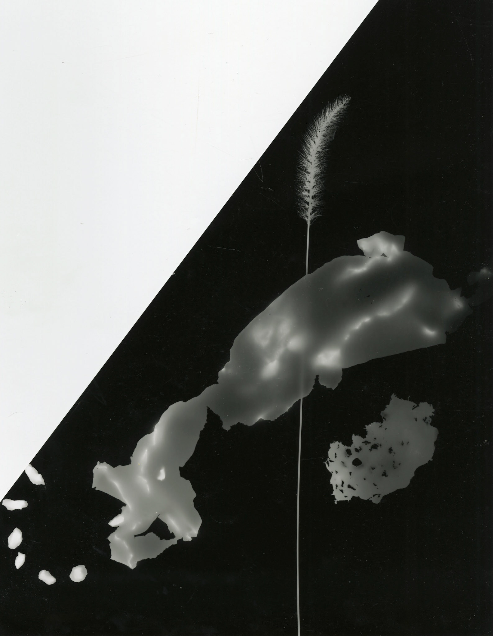 FRAGMENT: GELATIN SILVER PRINT