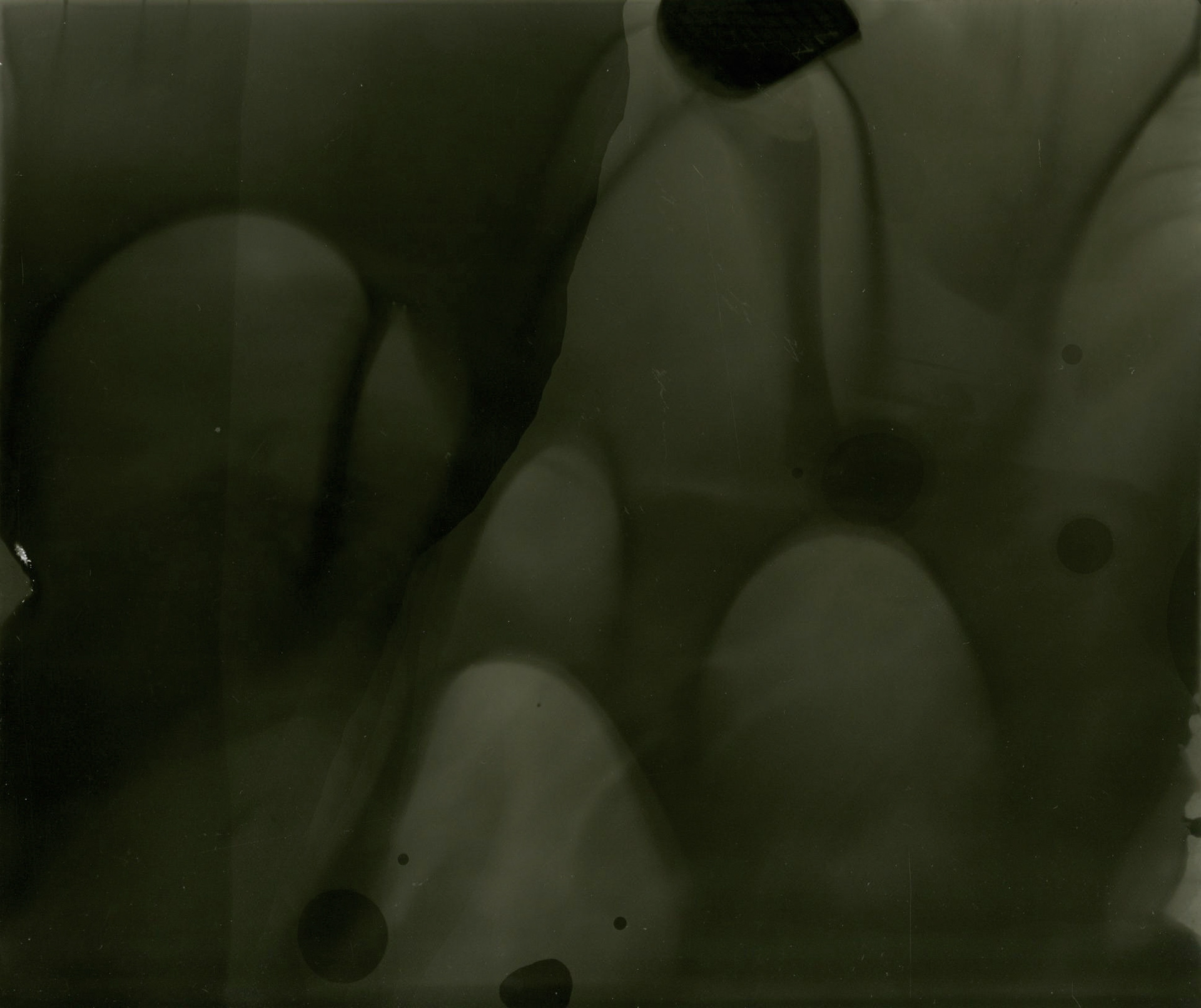 LOCARD: GELATIN SILVER PRINT (PHOTOGRAM)