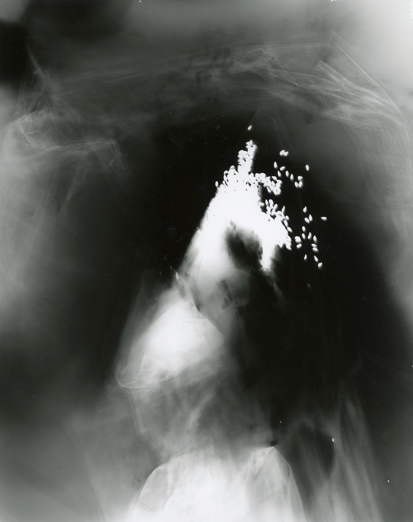 FINITE: GELATIN SILVER PRINT (PHOTOGRAM)