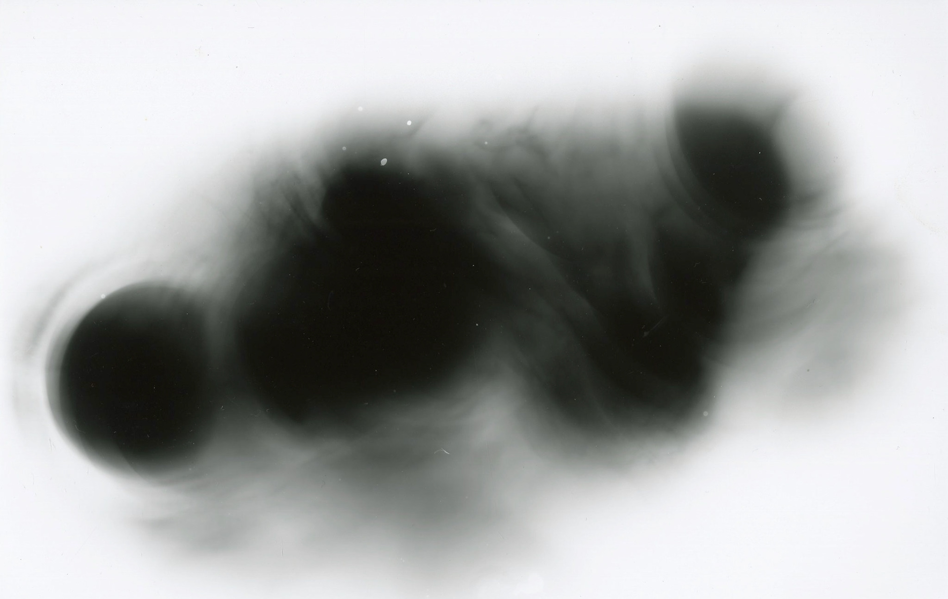 FLUX: GELATIN SILVER PRINT (PHOTOGRAM)