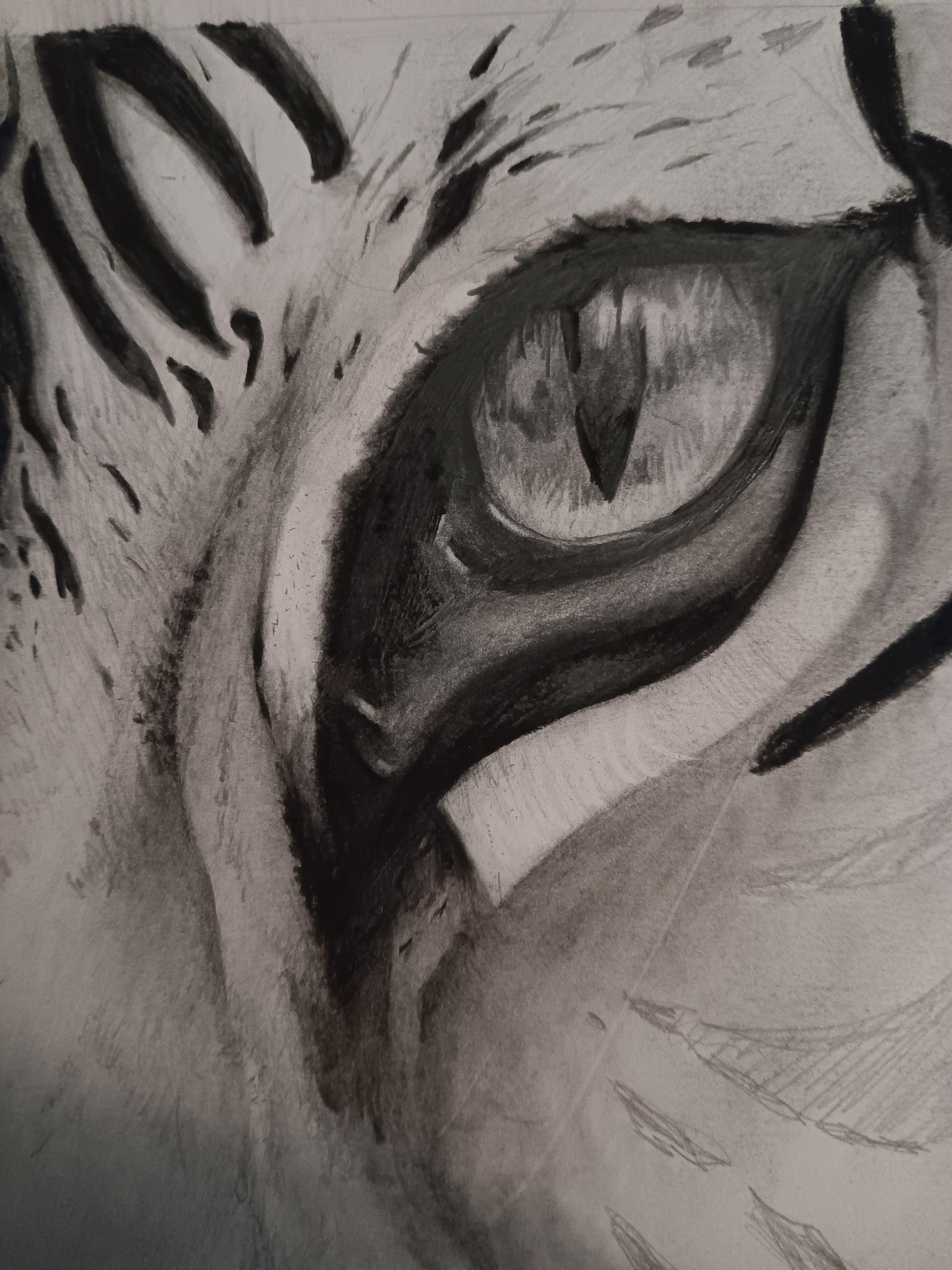 "Eye of the Tiger"