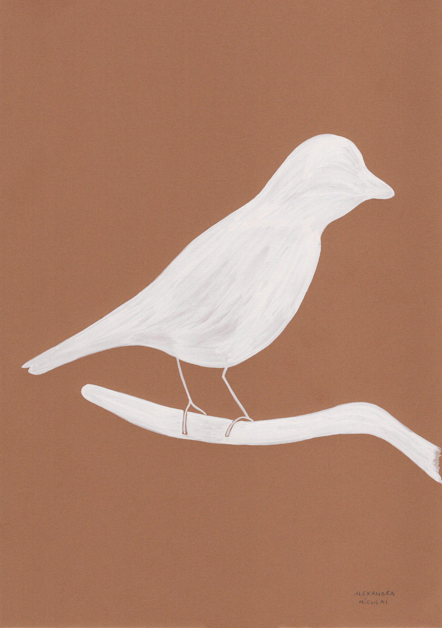 Jay II — Monochrome