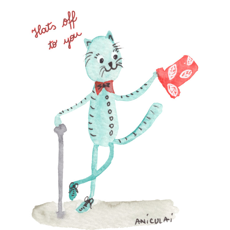 AN042 cat with hat